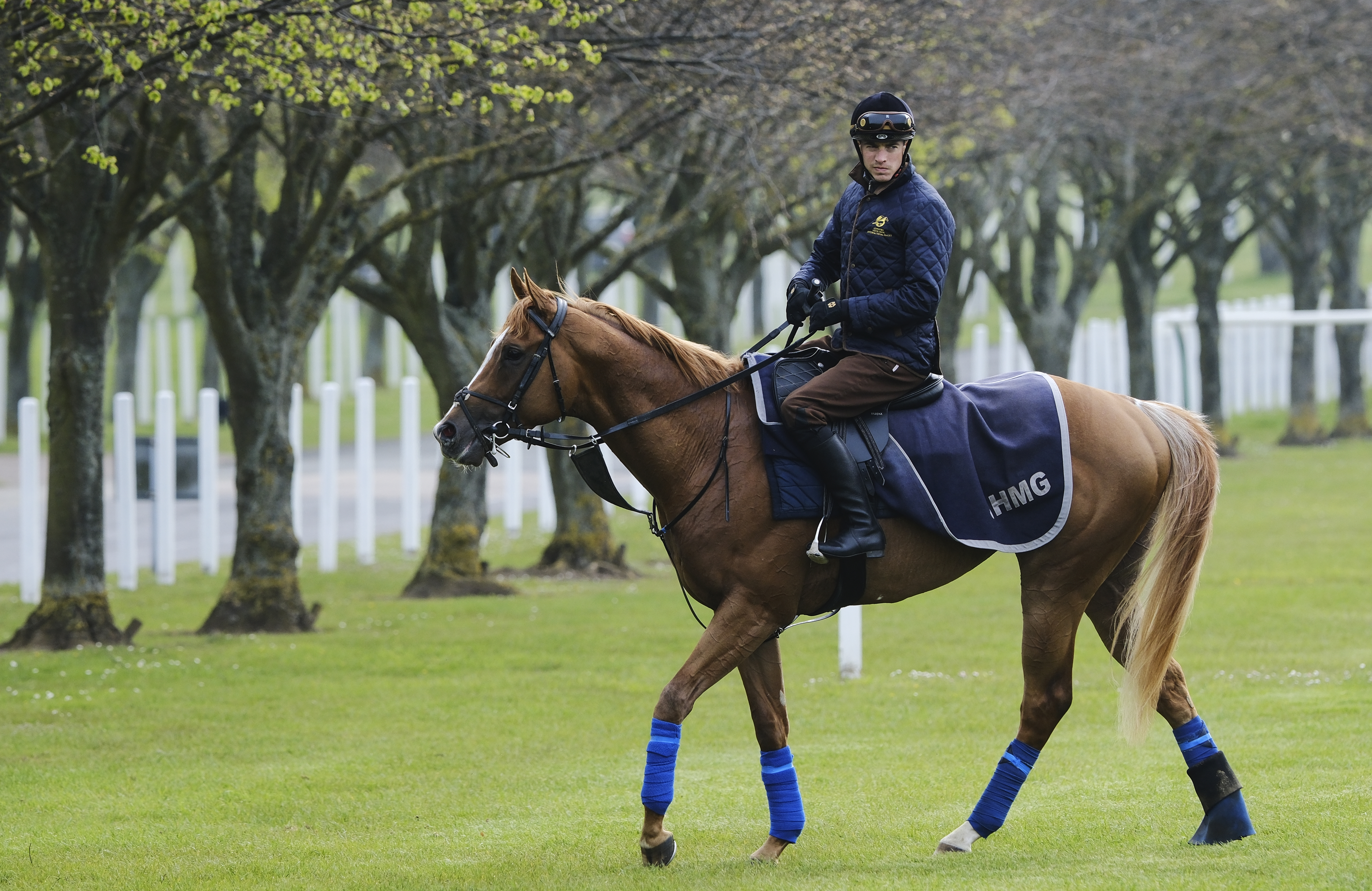 Slipofthepen and James Doyle at Newmarket 