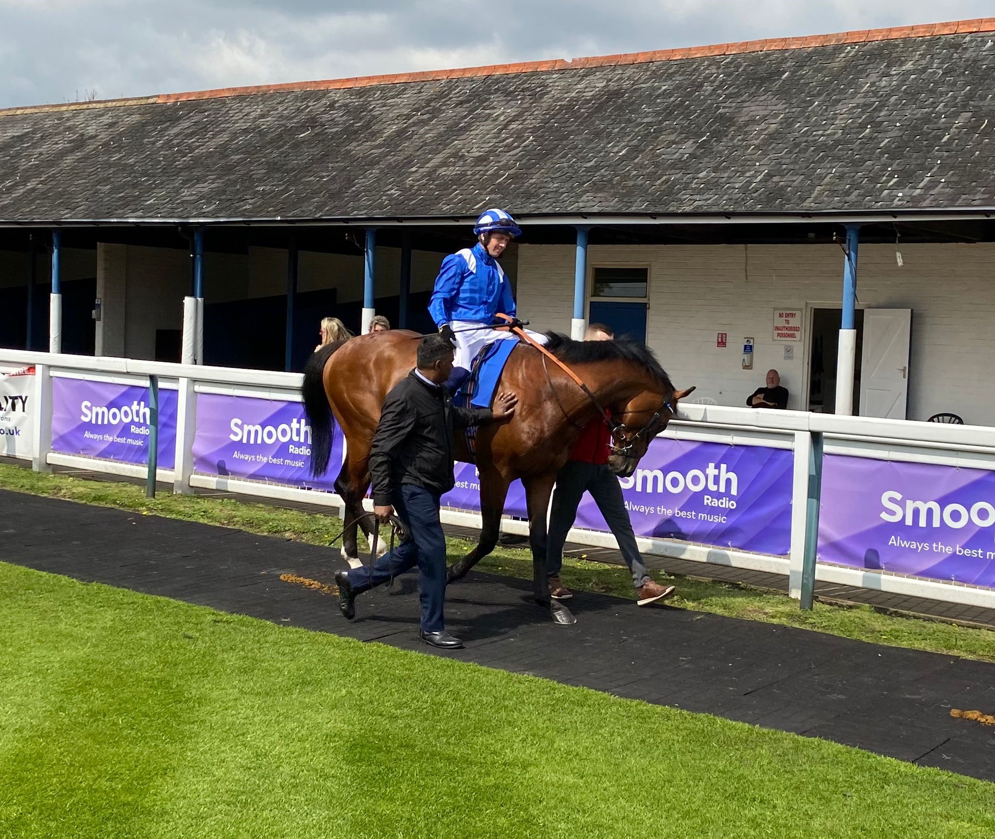 Naqeeb prior to his racecourse debut 