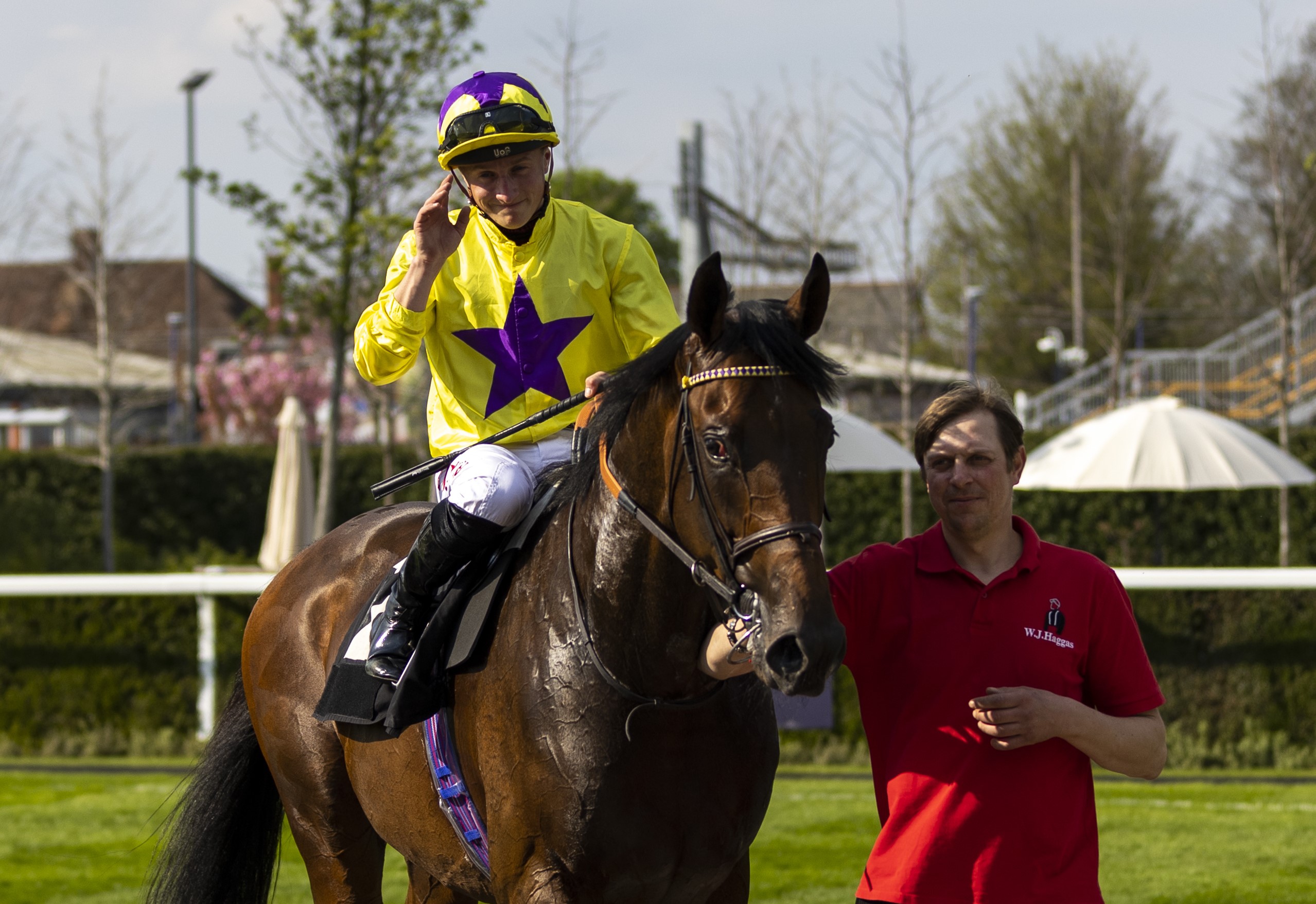 My Prospero after winning at Newbury