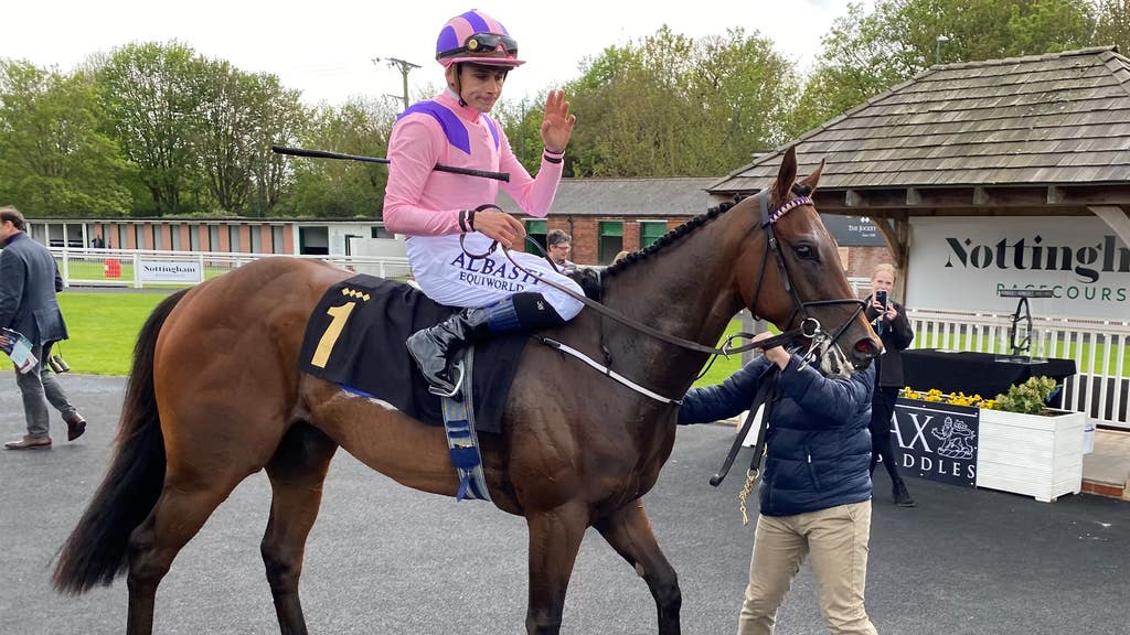Thunderbear is a rapidly improving sprinter