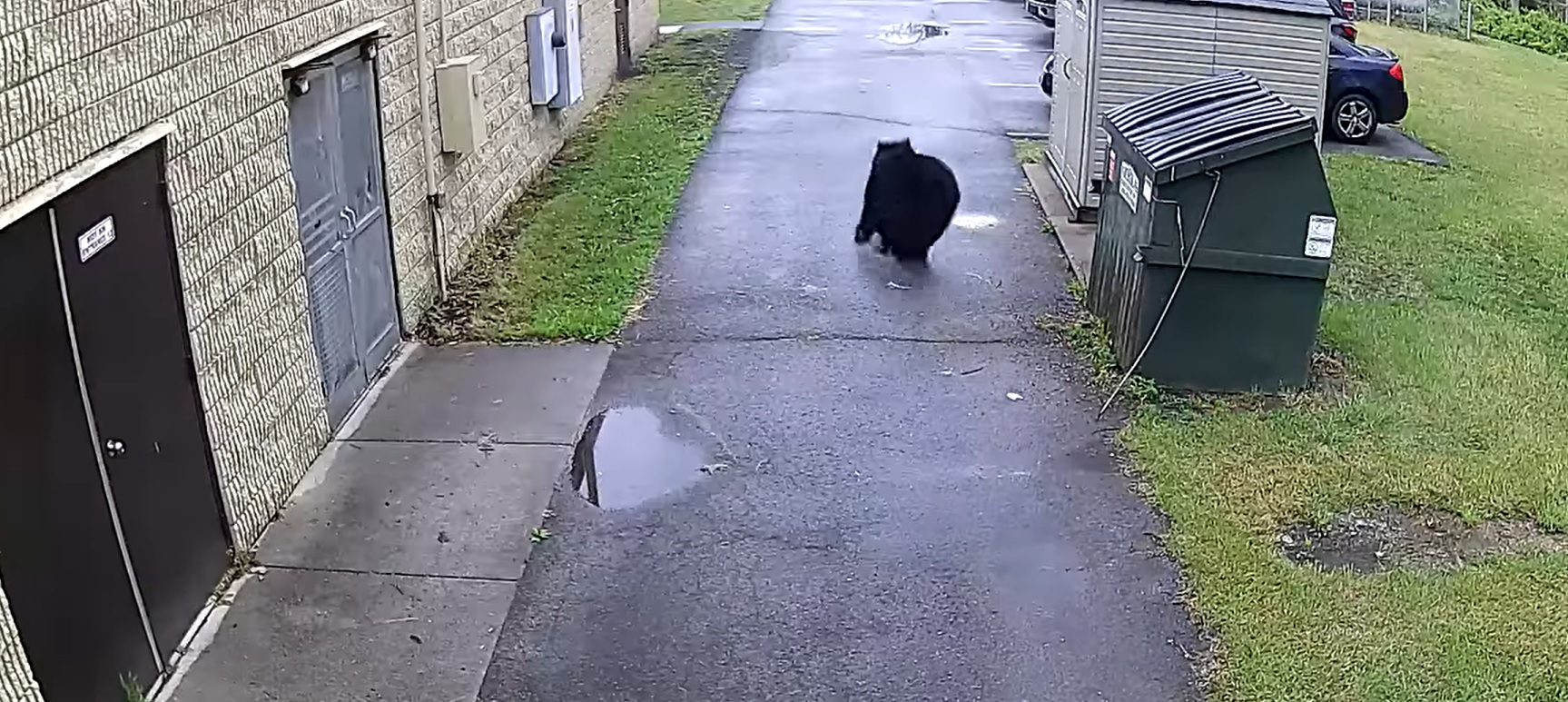 James Marsh was given a fright when a bear leapt out of the bin he was opening