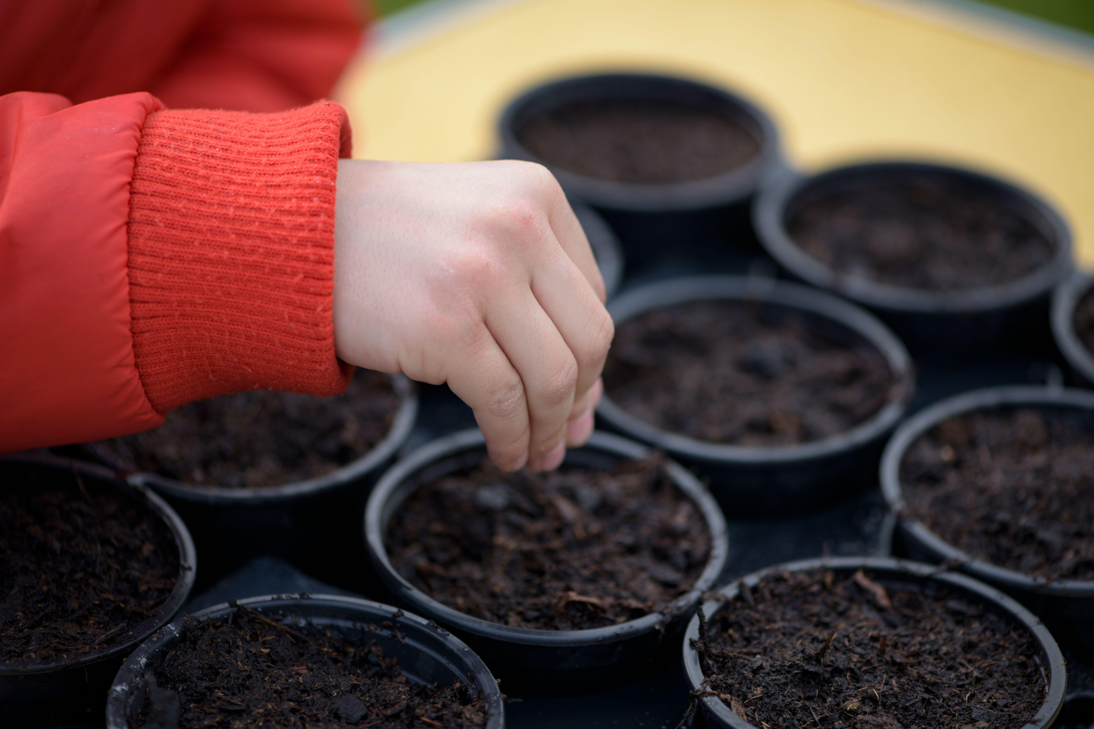 A child sowing seeds (Alamy/PA)