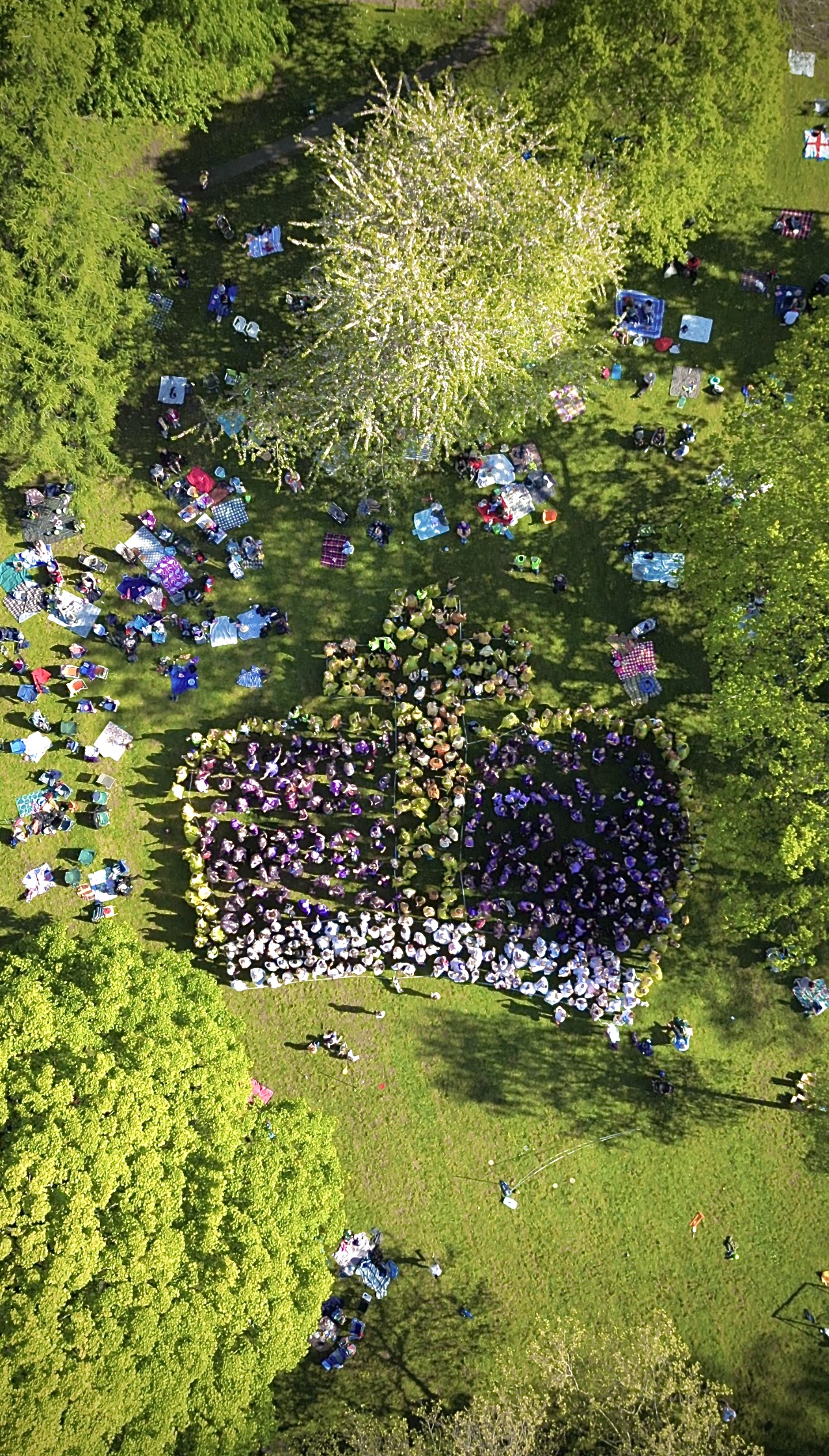 Coronation Big Lunch attendees at Broomhill Common in Orpington form a giant crown 