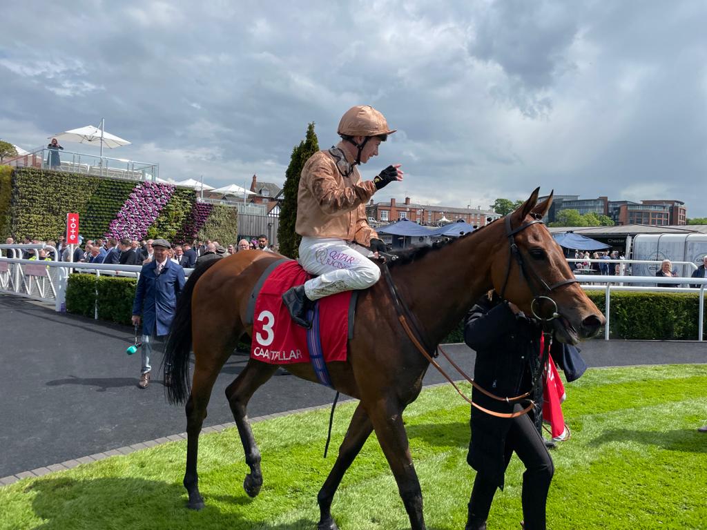 Nymphadora after winning at Chester