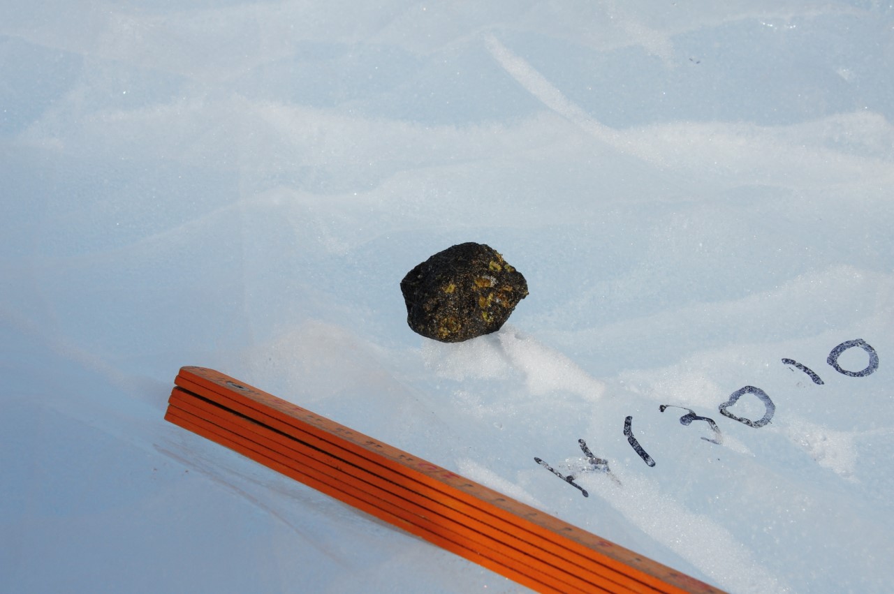 An angrite meteorite sample