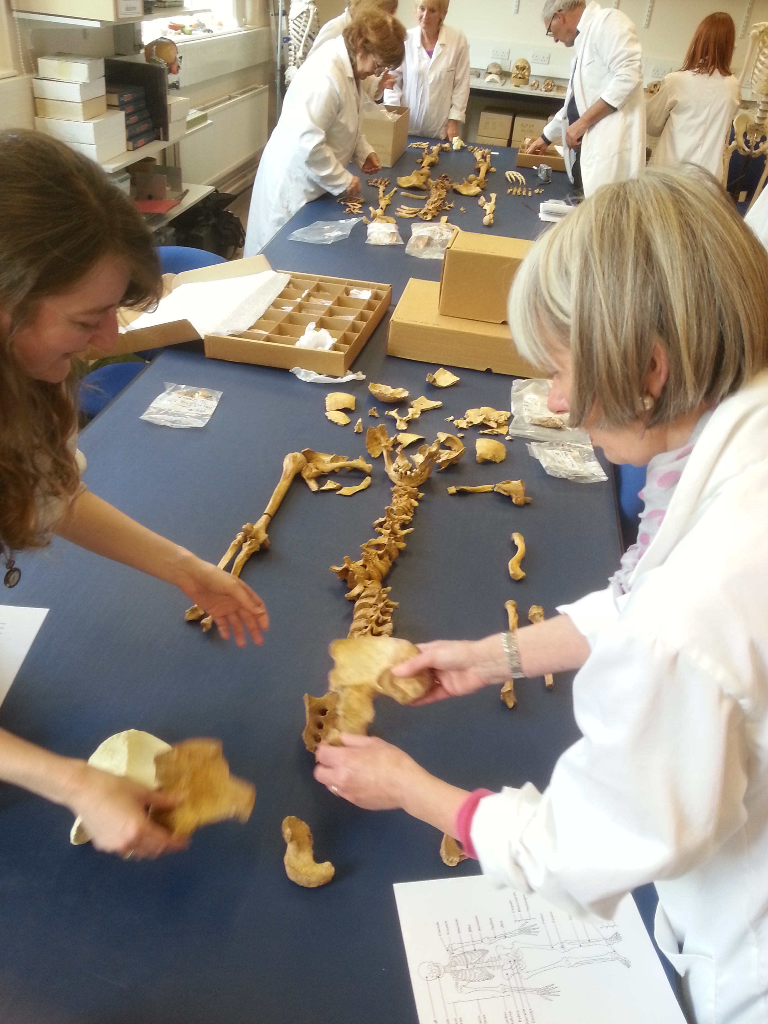 Scientists and community volunteers analysing the skeletal remains from Fewston 