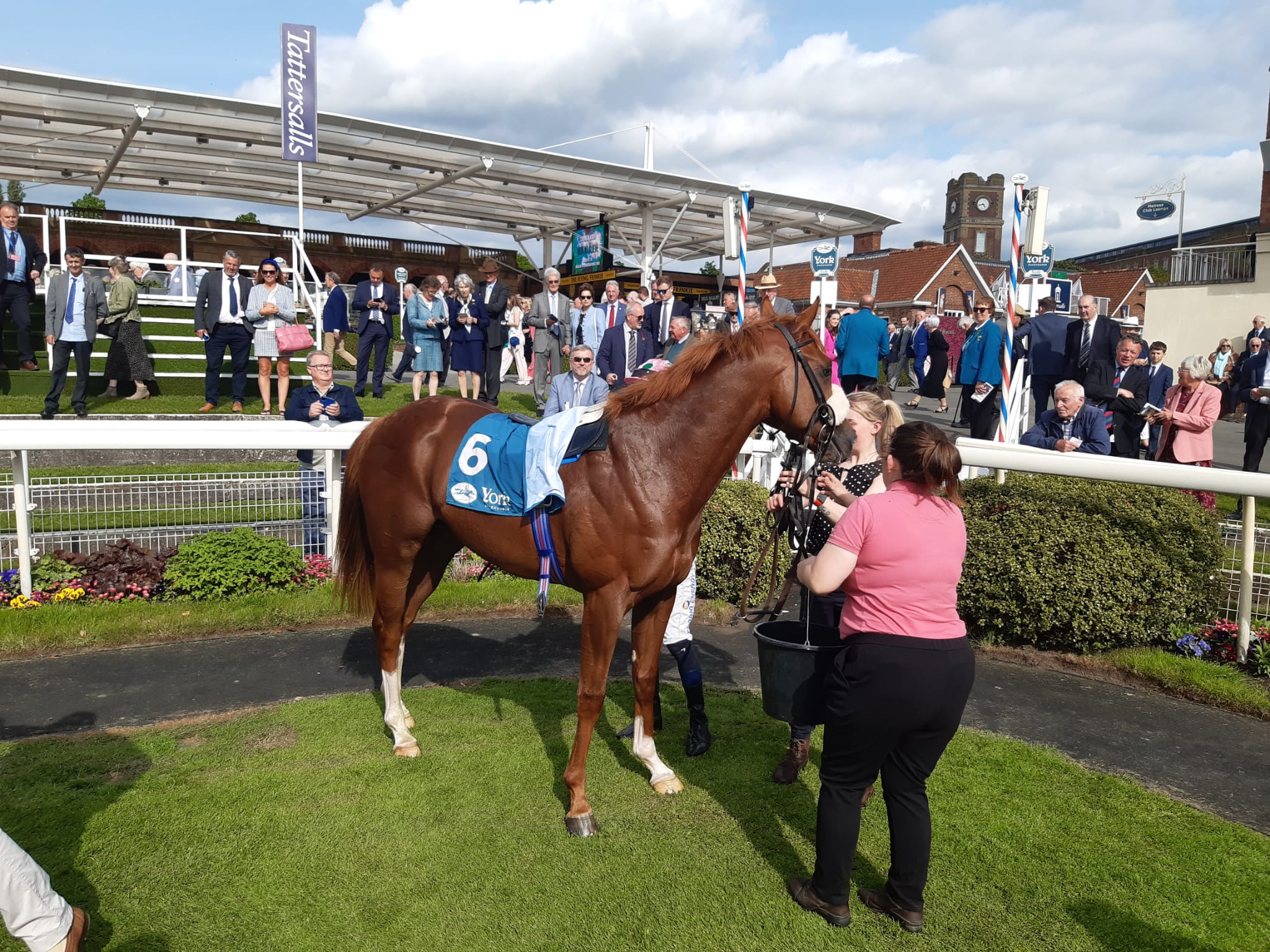 Mon Na Slieve after winning at York