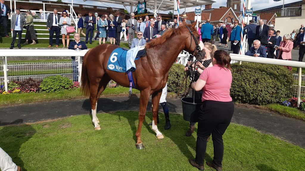 Mon Na Slieve after winning at York