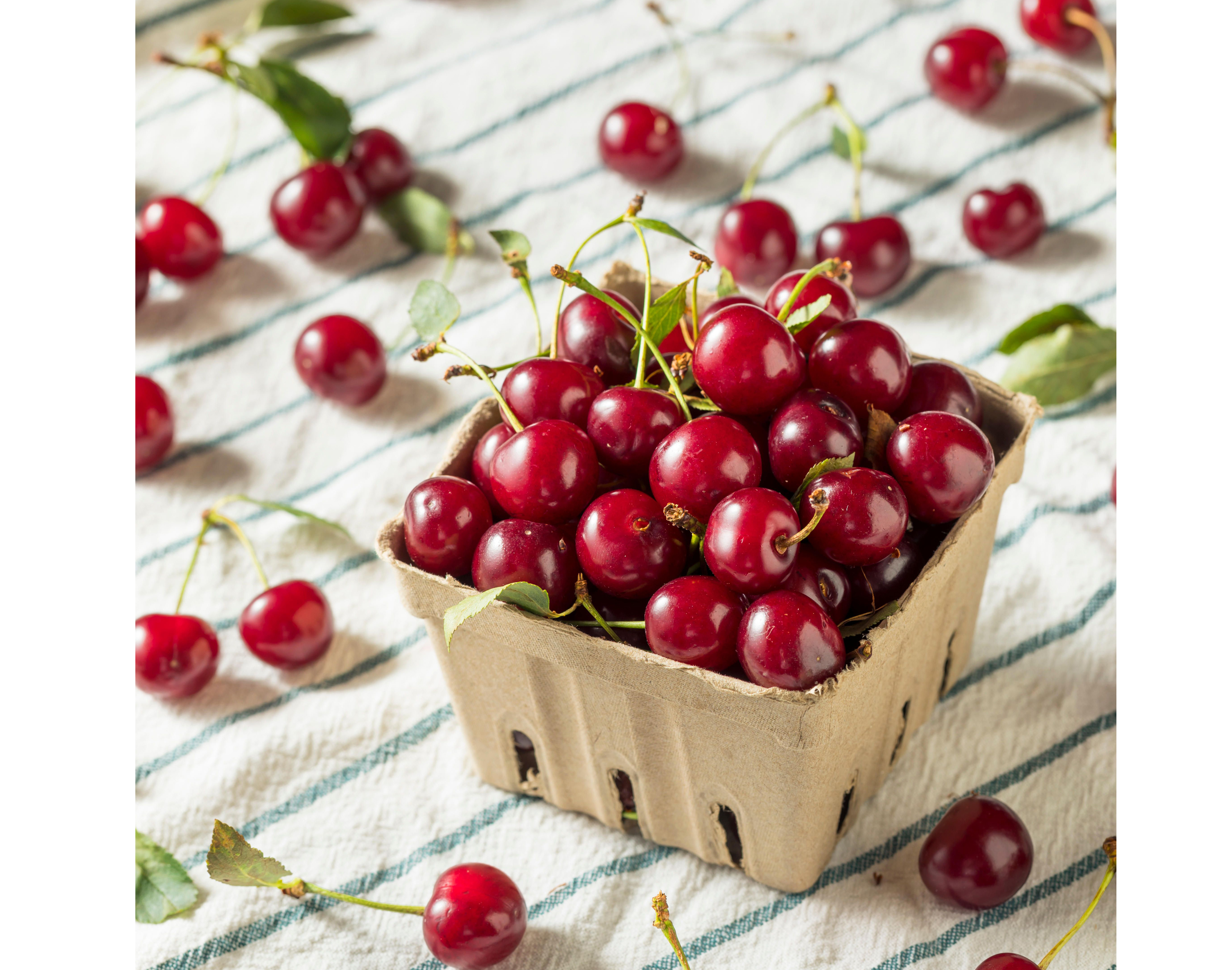 Organic tart cherries in basketet