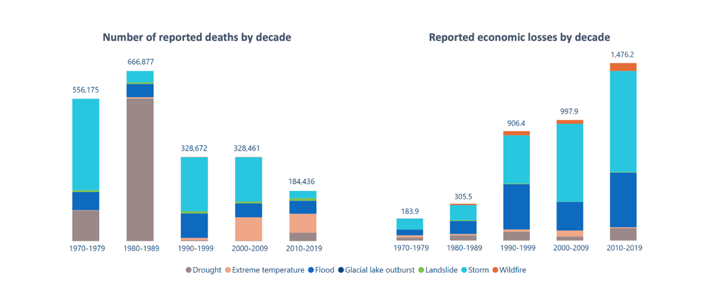WMO deaths/economic losses