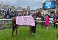 Giavellotto Crowned In Yorkshire Cup For Botti And Atzeni Geegeez co uk