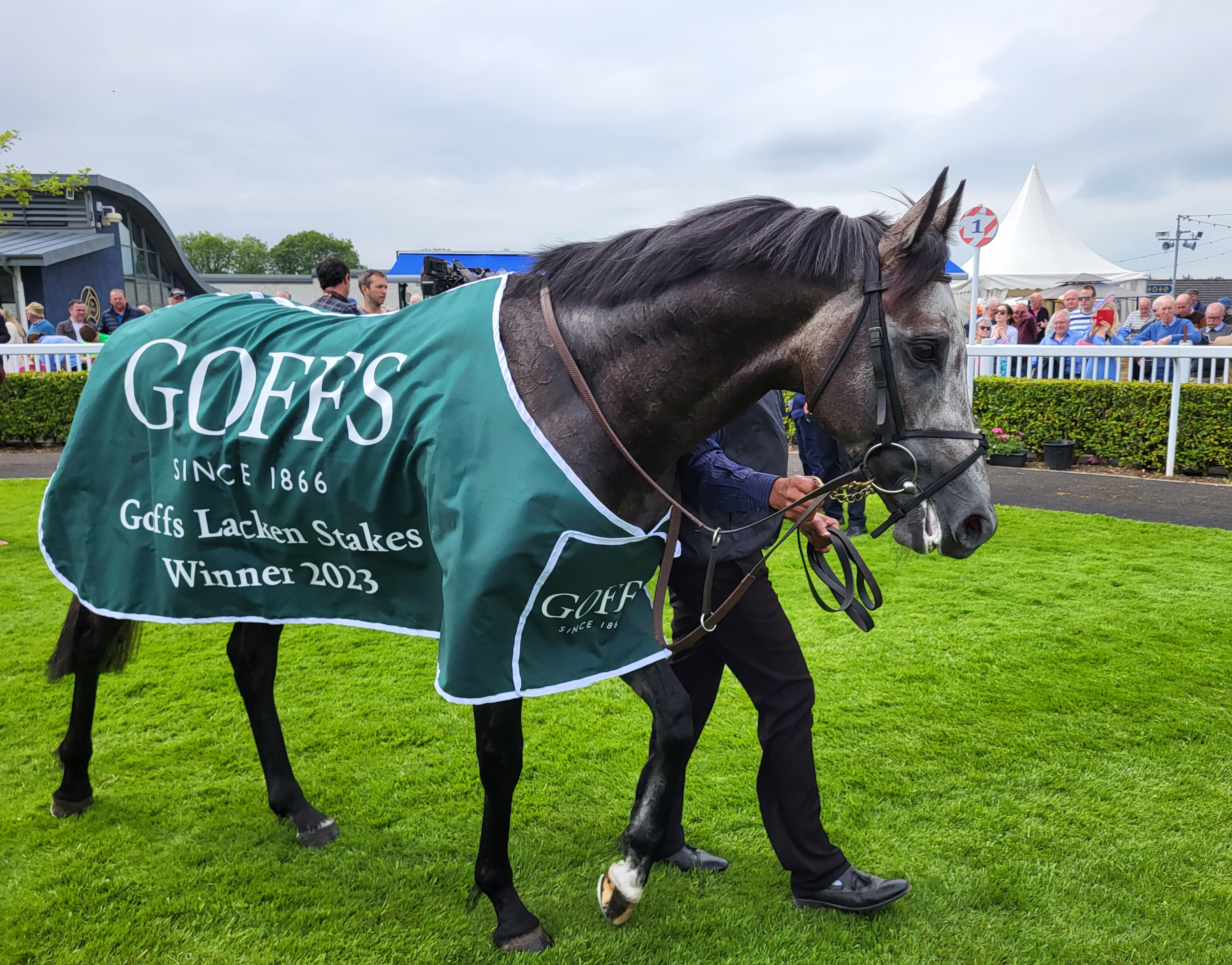 The Antarctic after winning at Naas