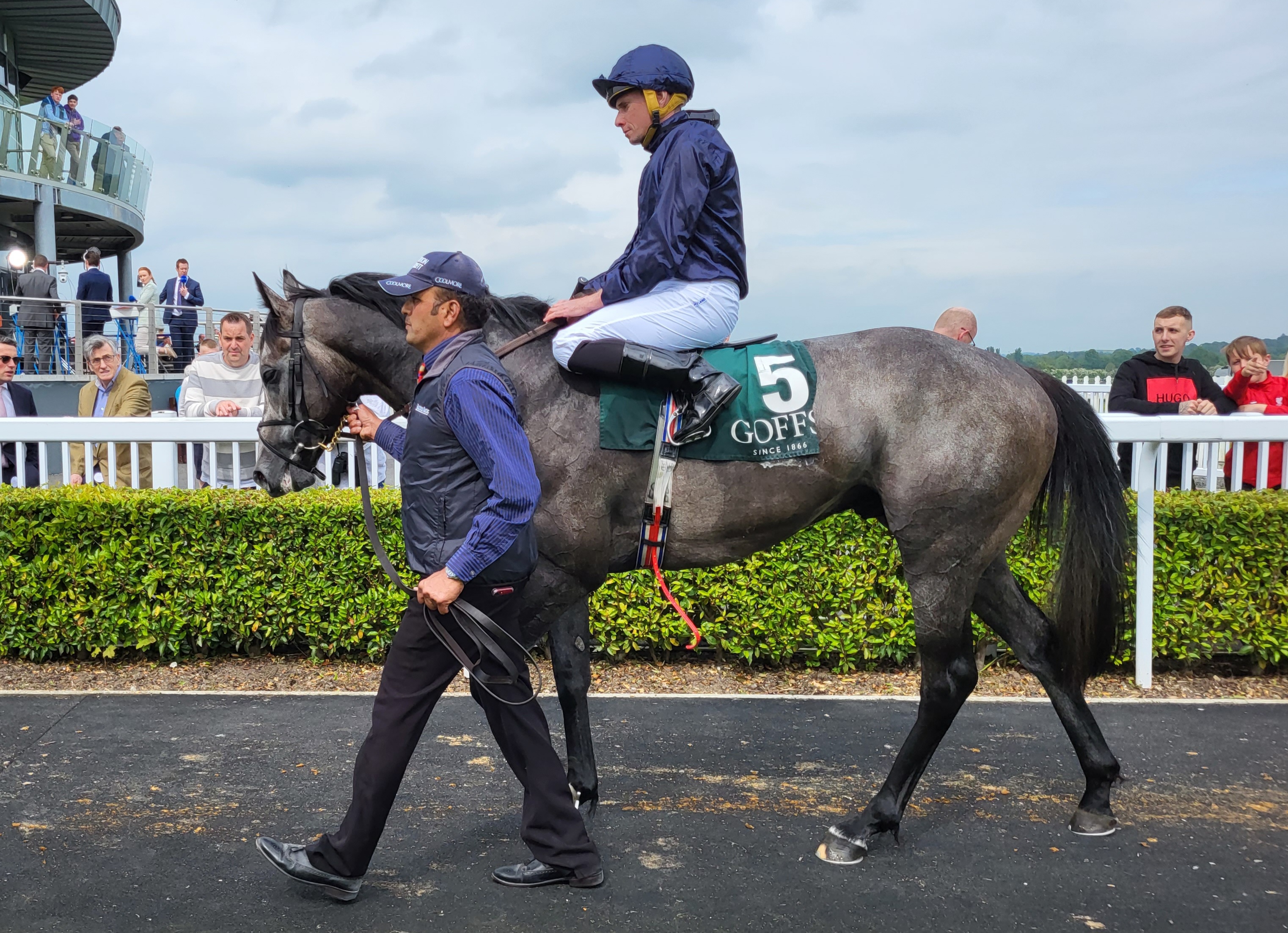 The Antarctic after winning the Goffs Lacken Stakes at Naas