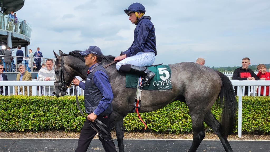 The Antarctic after winning the Goffs Lacken Stakes at Naas