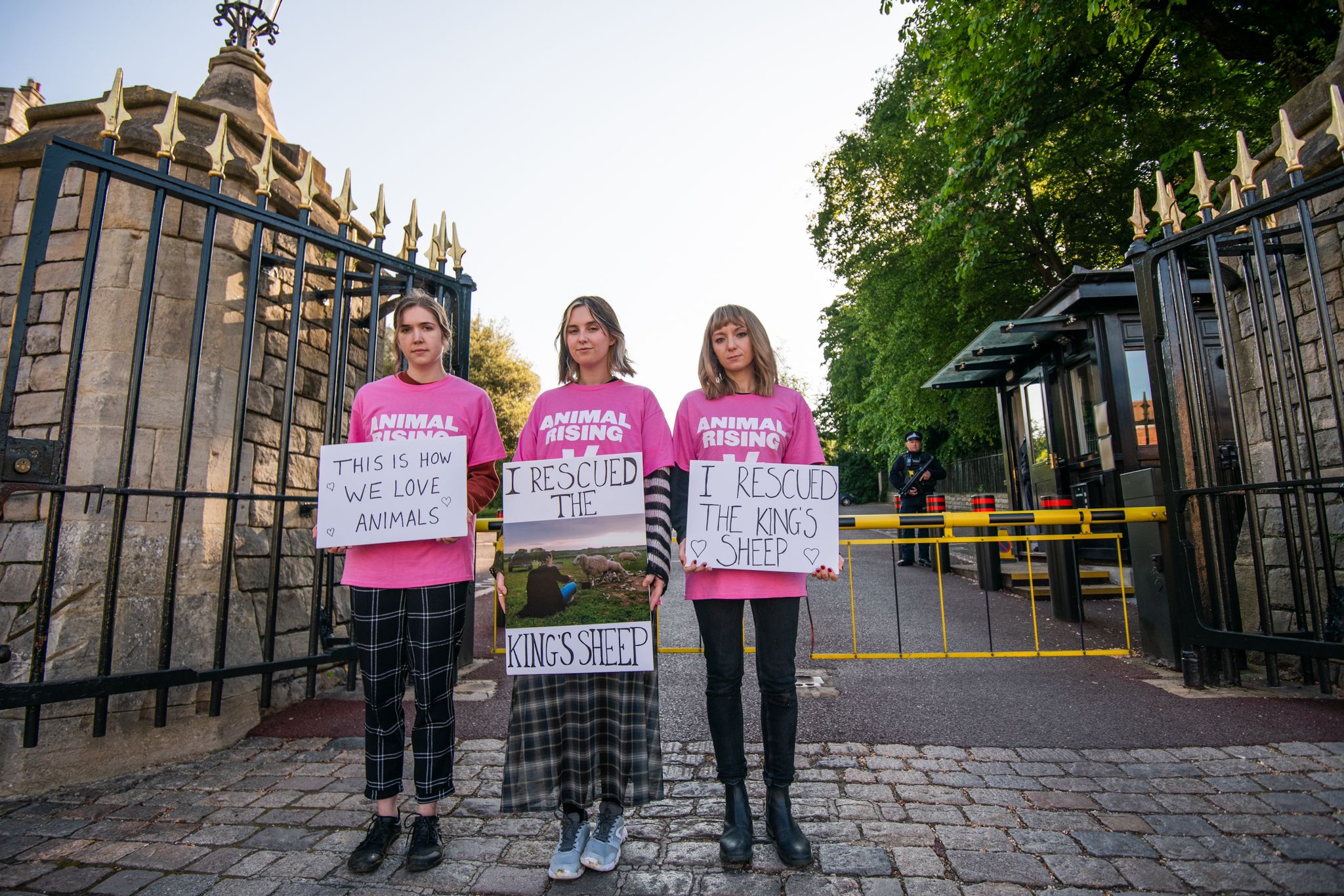 Animal Rising said the three women handed themselves into police in Windsor, Berkshire. (Animal Rising/ PA)