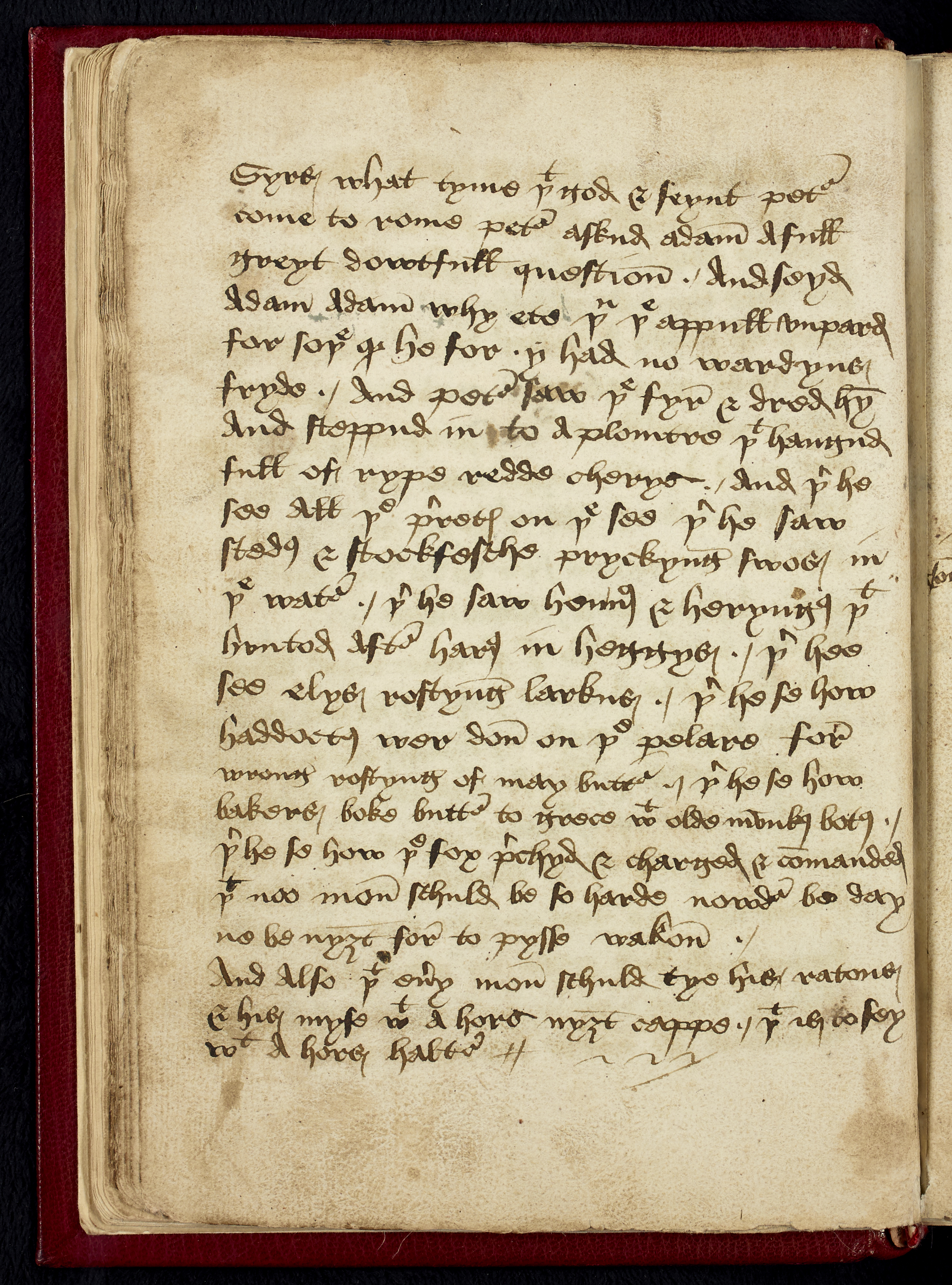 The Heege Manuscript 