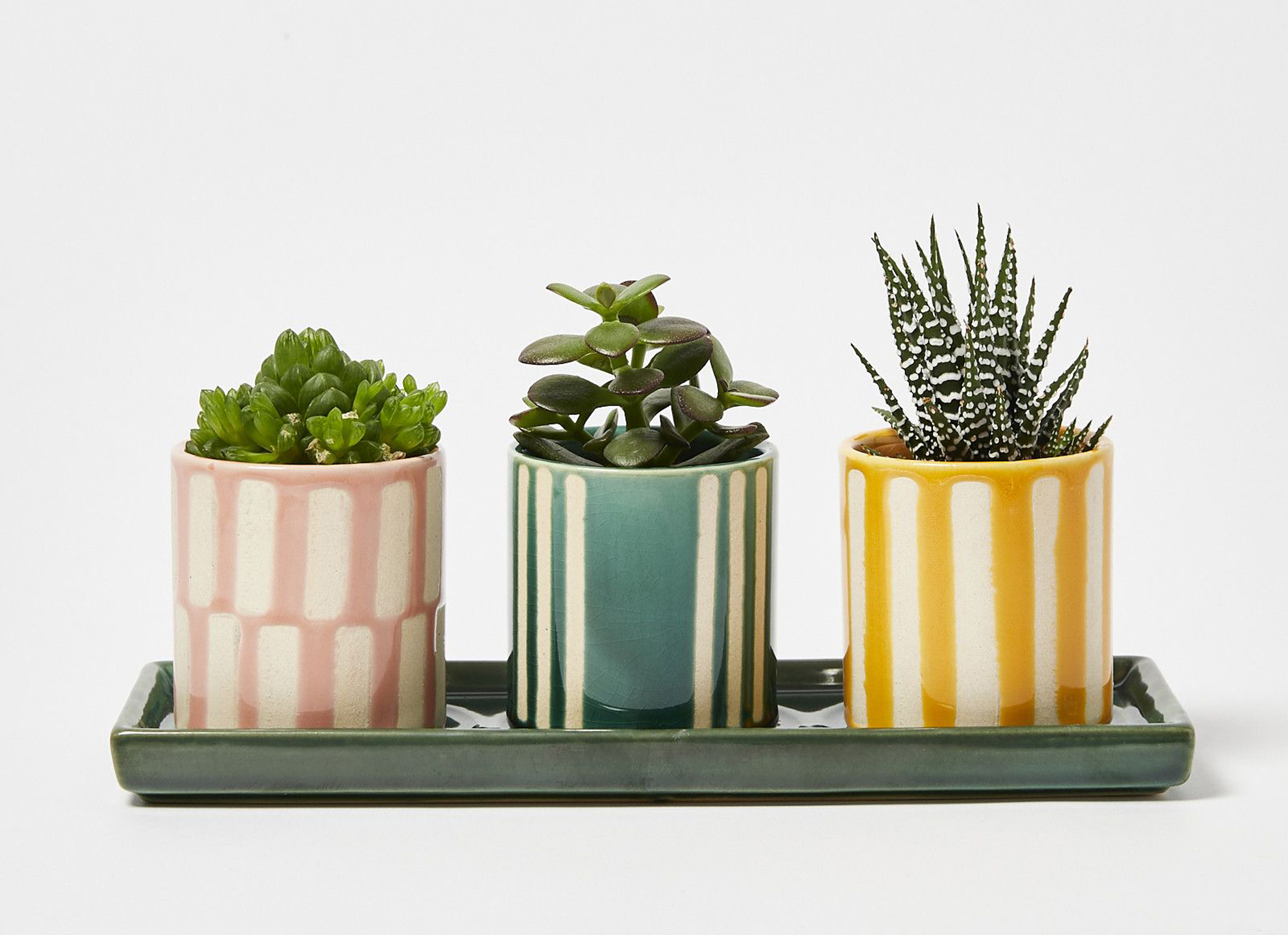 Dalloway Ceramic Mini Plant Pots Set of Three, £32.50, Oliver Bonas