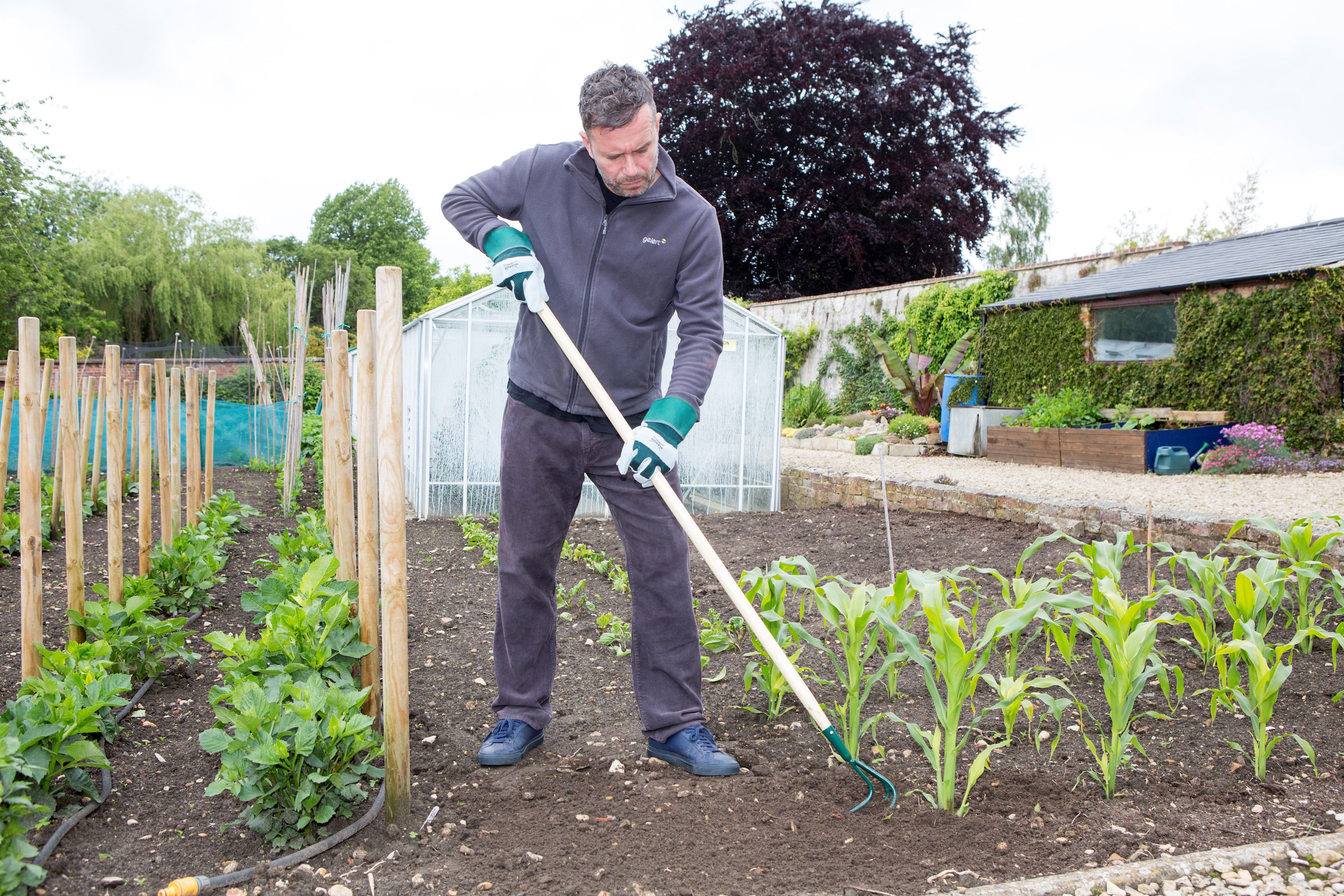 Seven great gardening gift ideas for dads this Father's Day