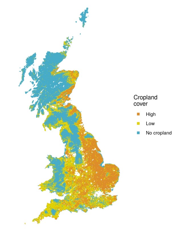 GB cropland map