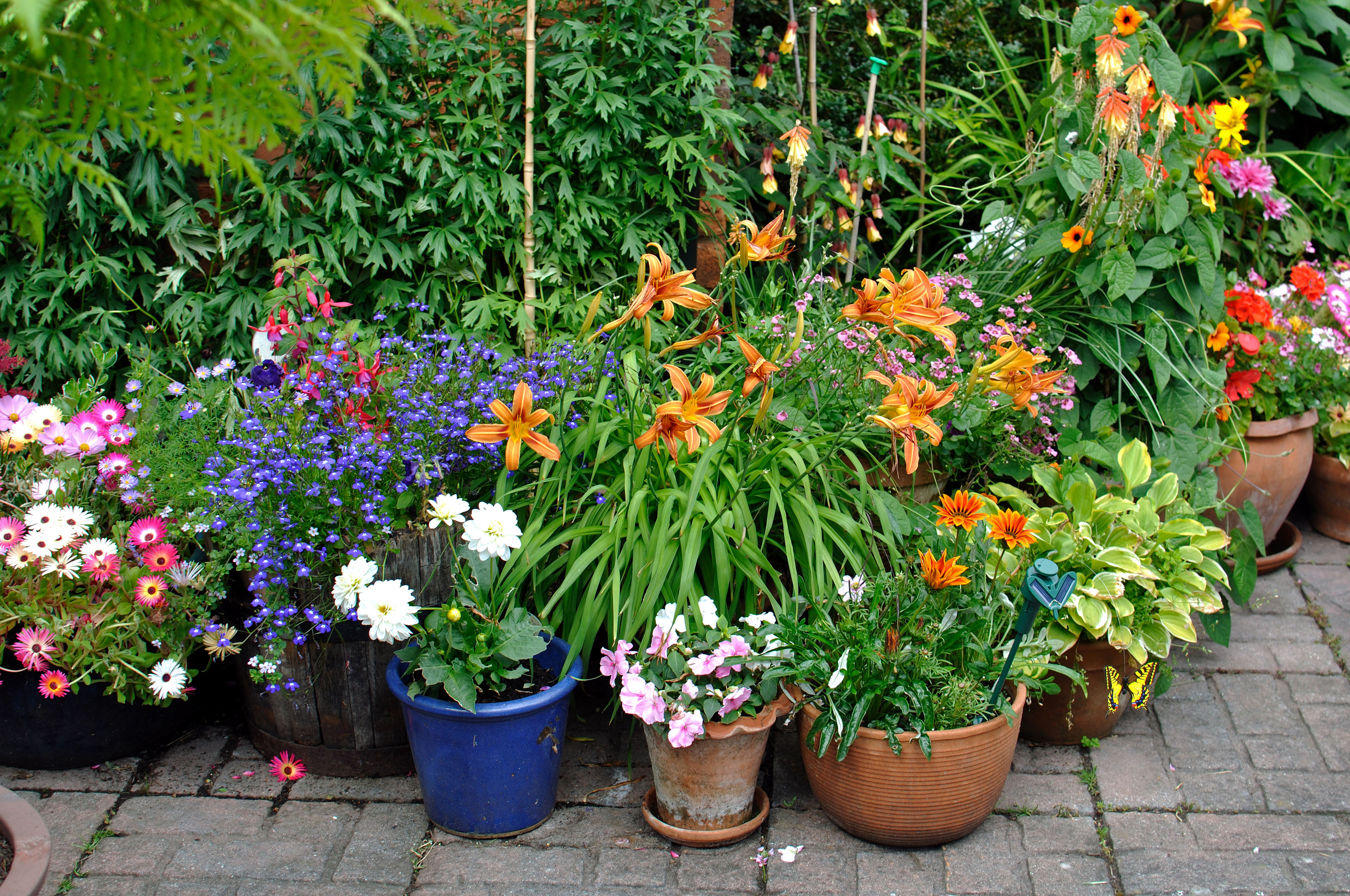 Pots of plants in the shade (Alamy/PA)