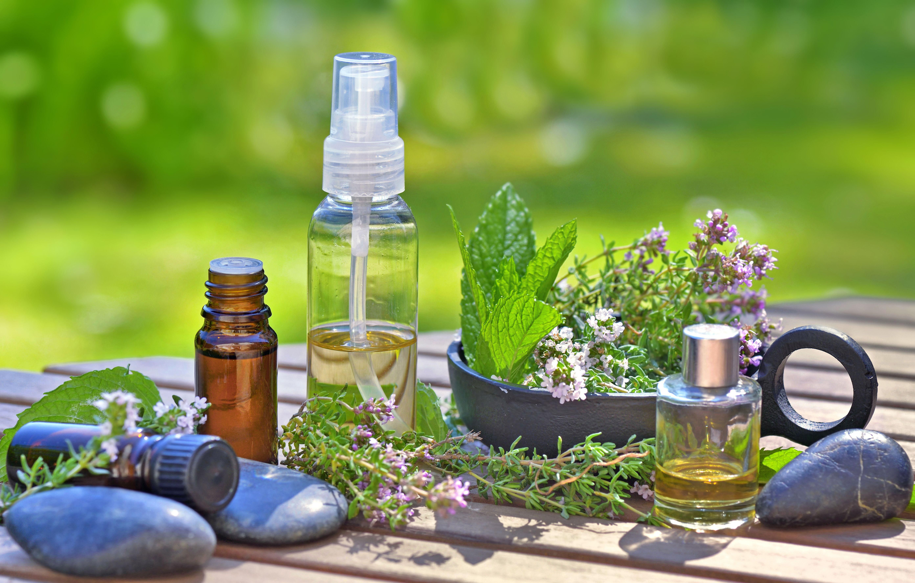 Bottles of essential oils with lavender flowers and mint leaf in bowl 
