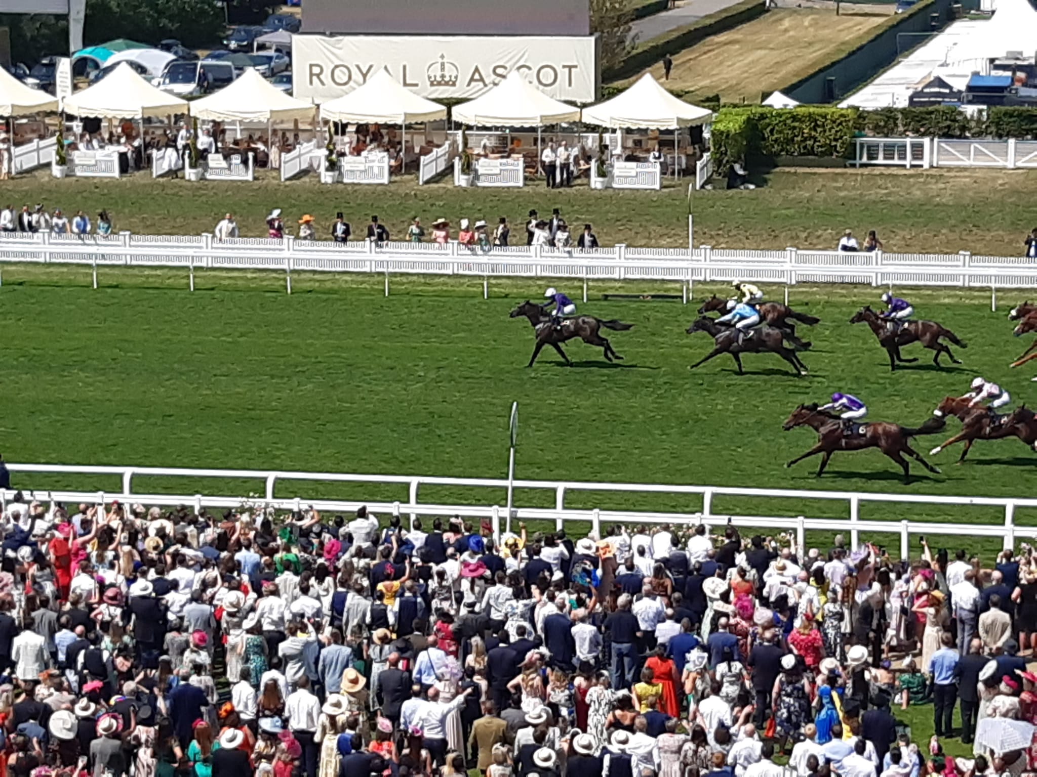 Valiant Force sprang a huge shock at Royal Ascot