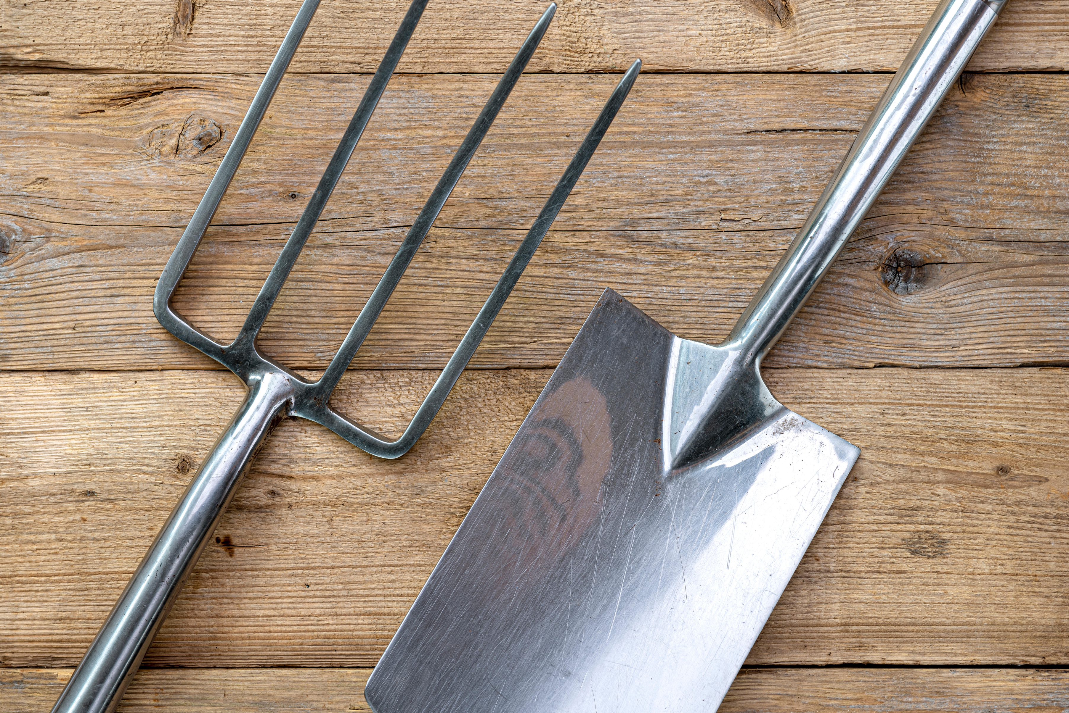 A garden fork and spade (Alamy/PA)