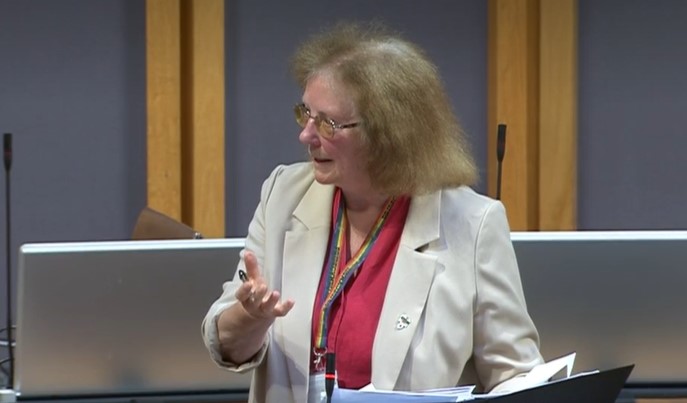 - Deputy minister for social services Julie Morgan MS at the joint debate in the Senedd on care. (Senedd.TV)