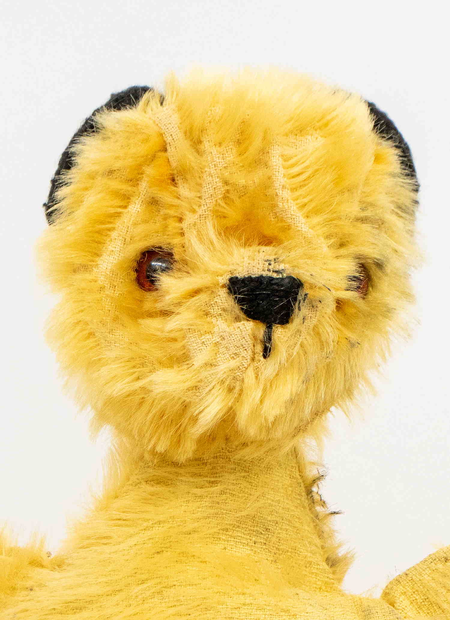 Sooty the puppet 