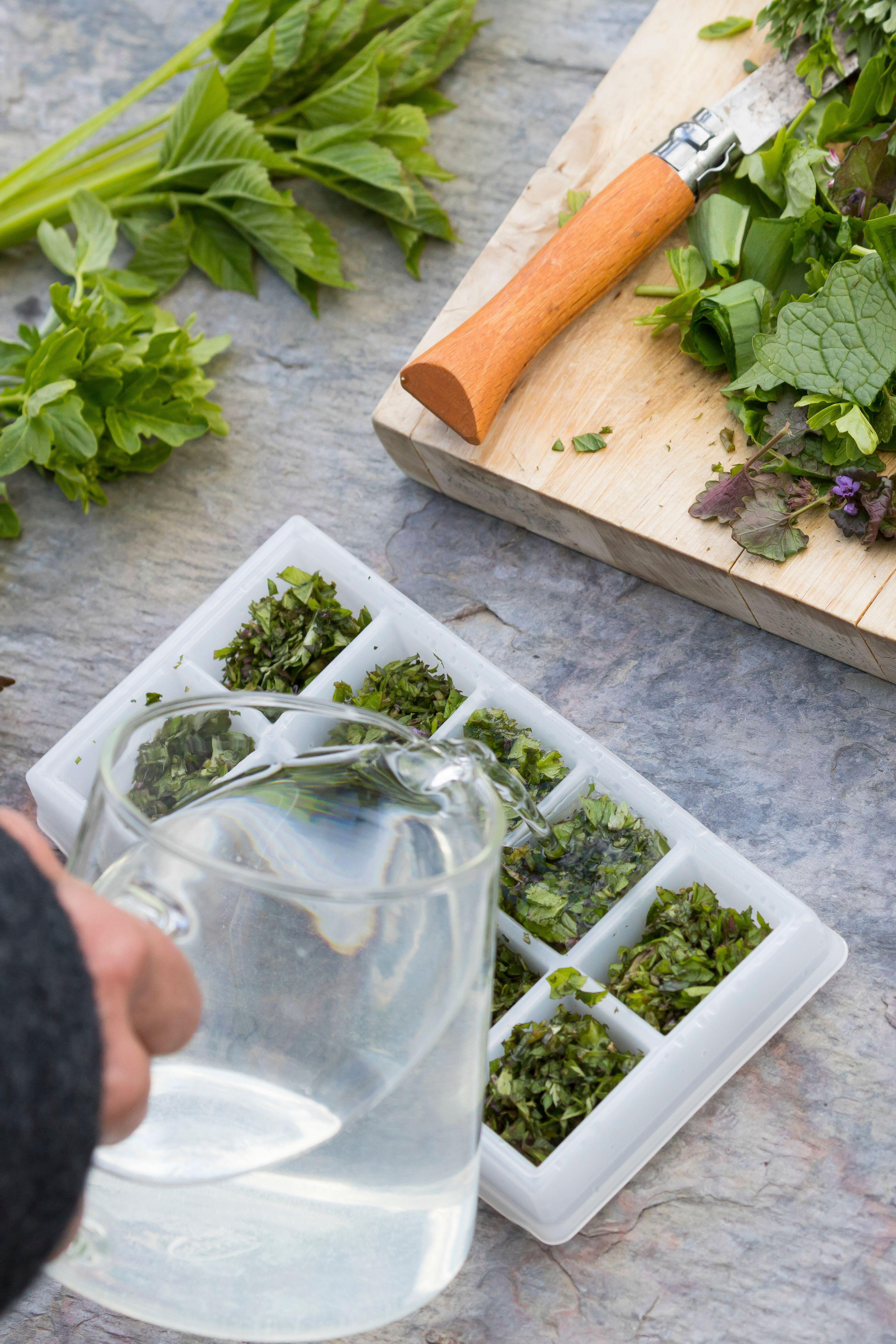 Herbs in ice cube trays (Alamy/PA)