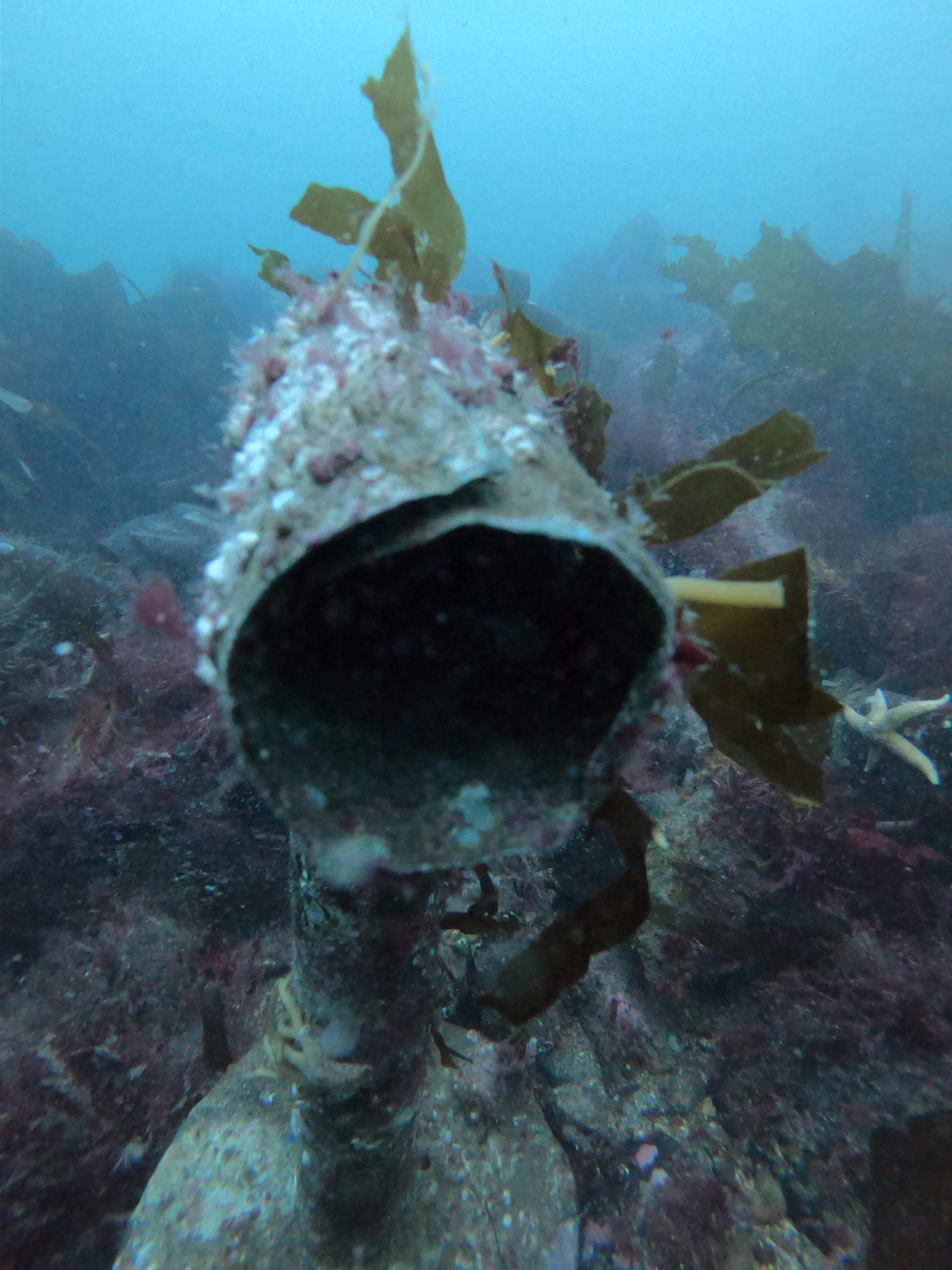 Wreck of Comet 