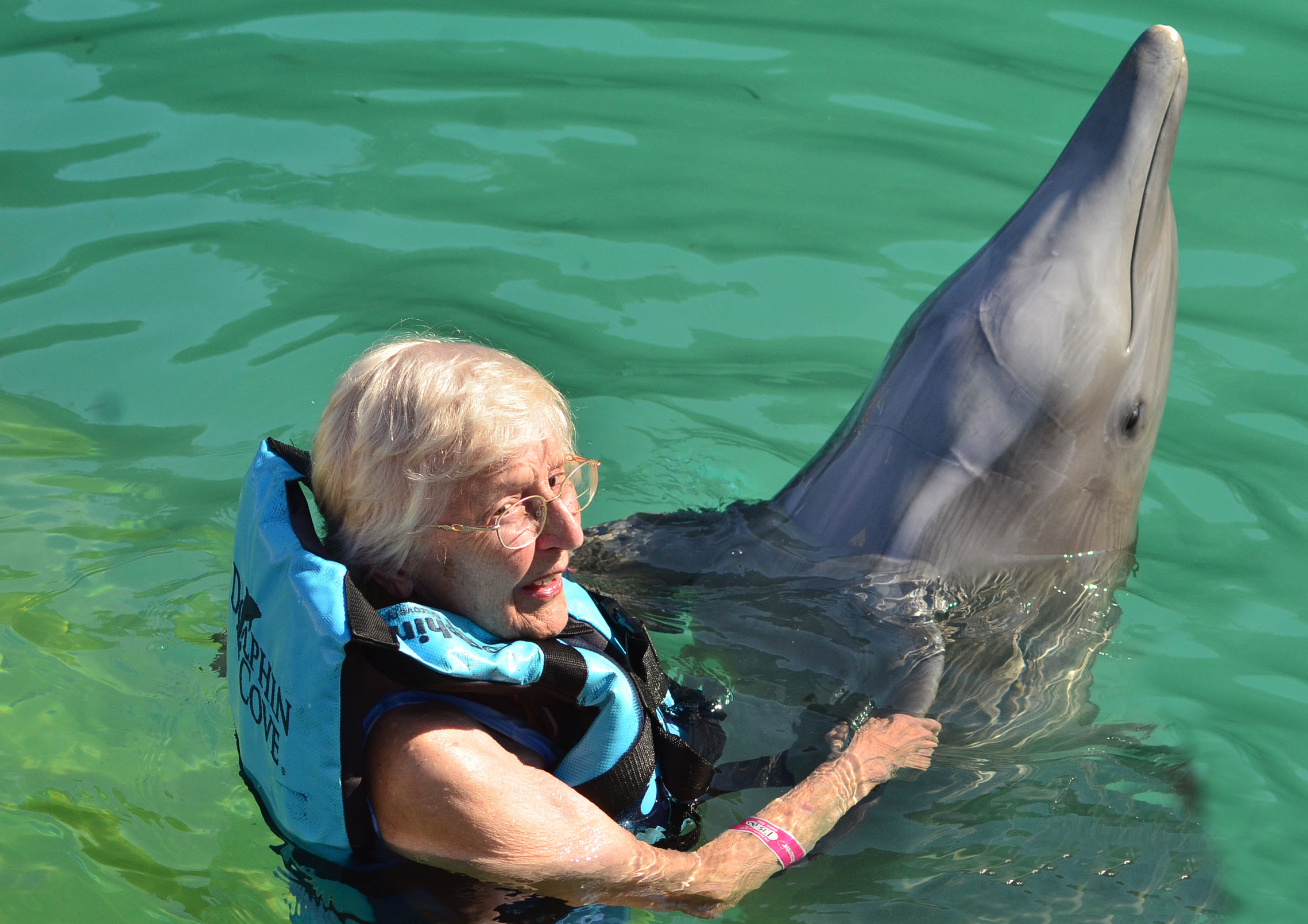 woman swimming with dolphins 