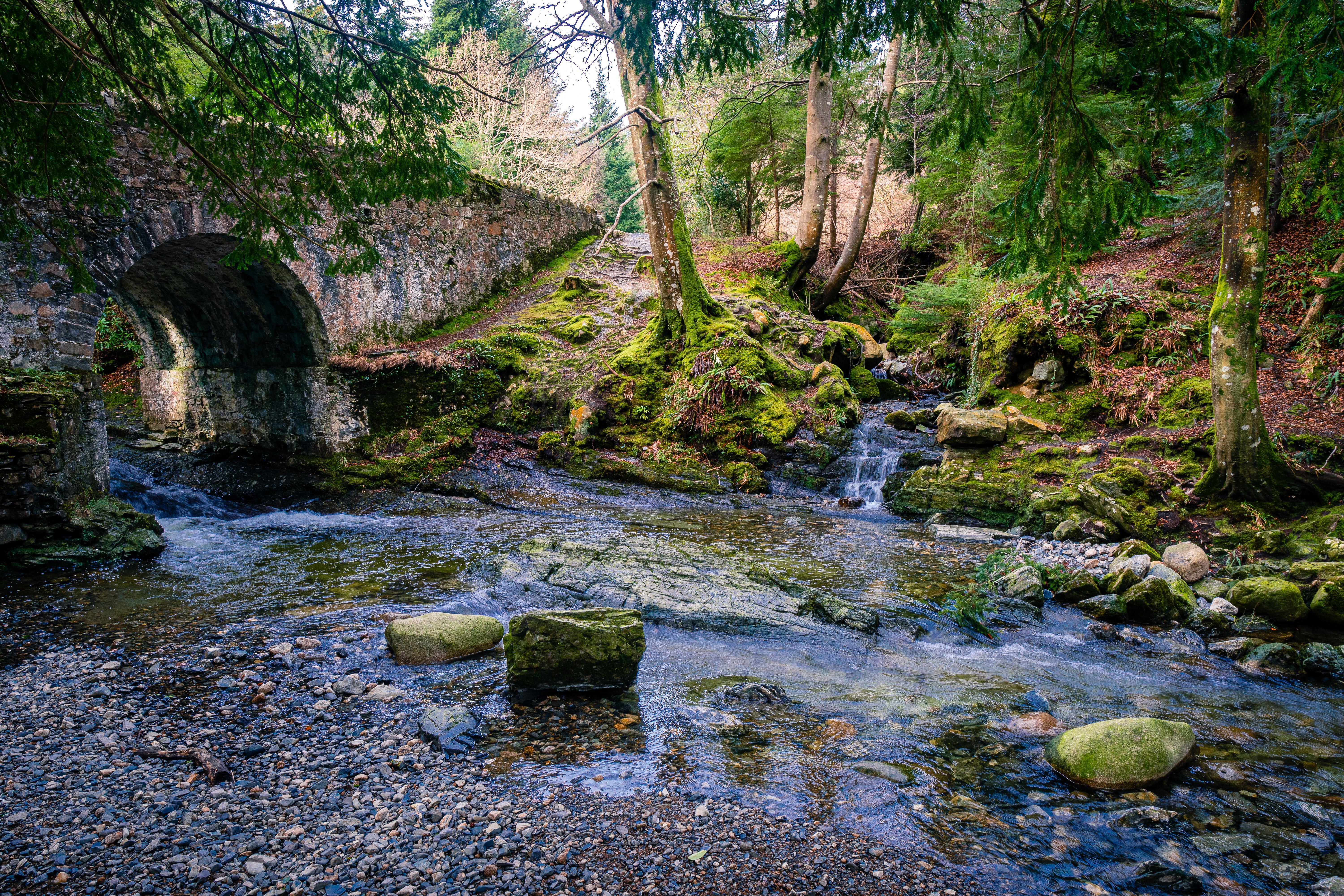 Film location in Tollymore National Park (Alamy/PA)