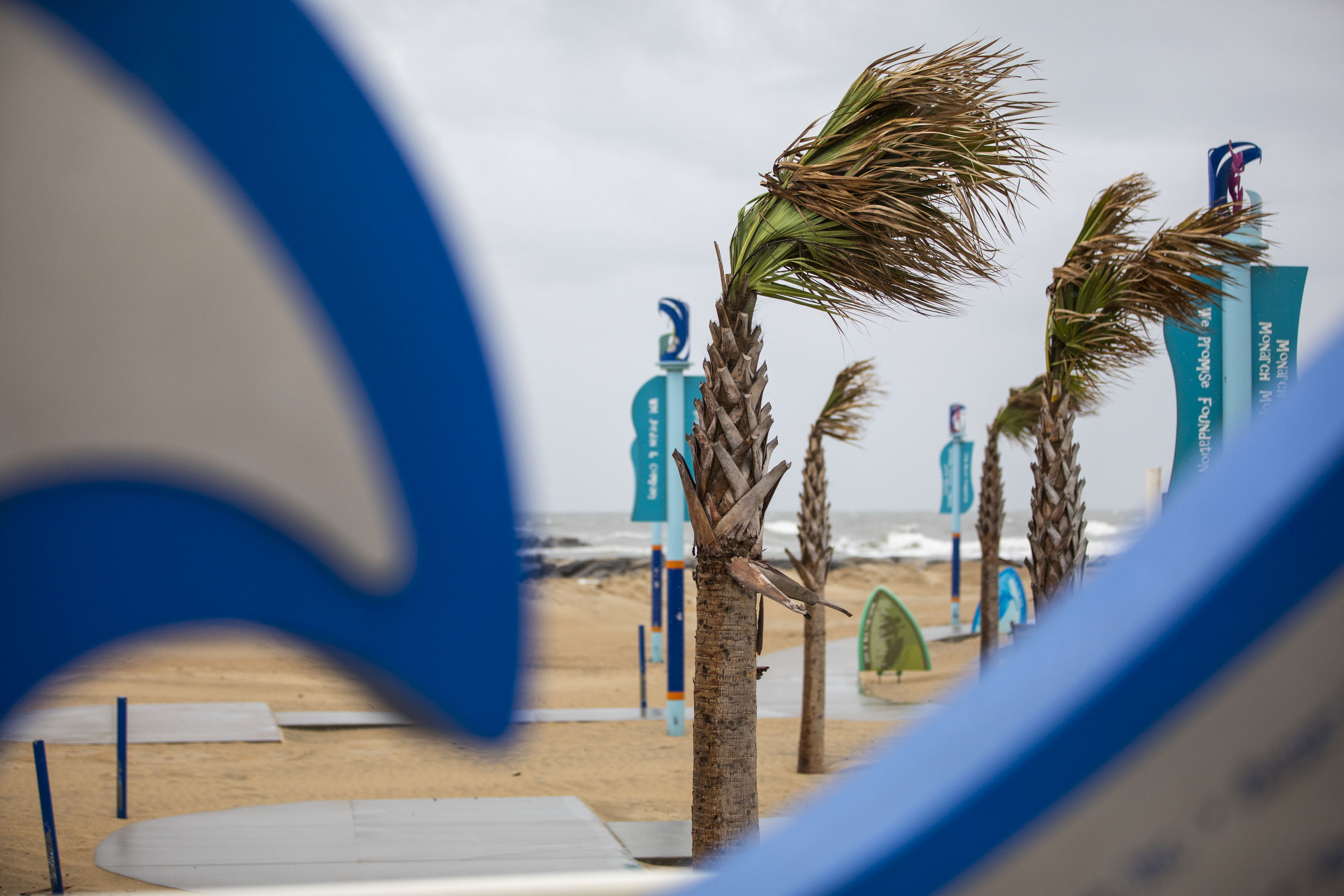 The tops of trees blow sideways at the Virginia Beach, Virginia