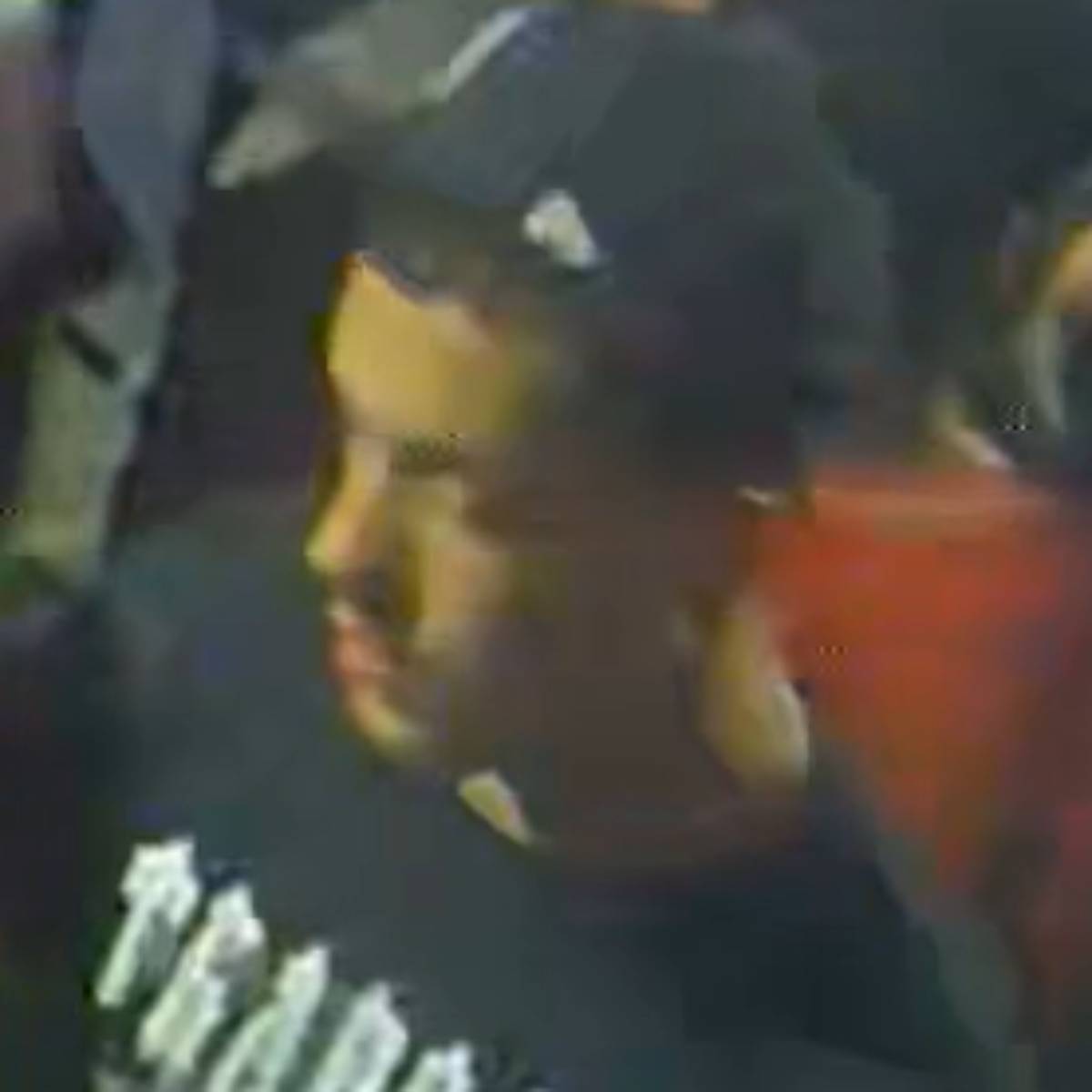 Sussex Police CCTV image appeal
