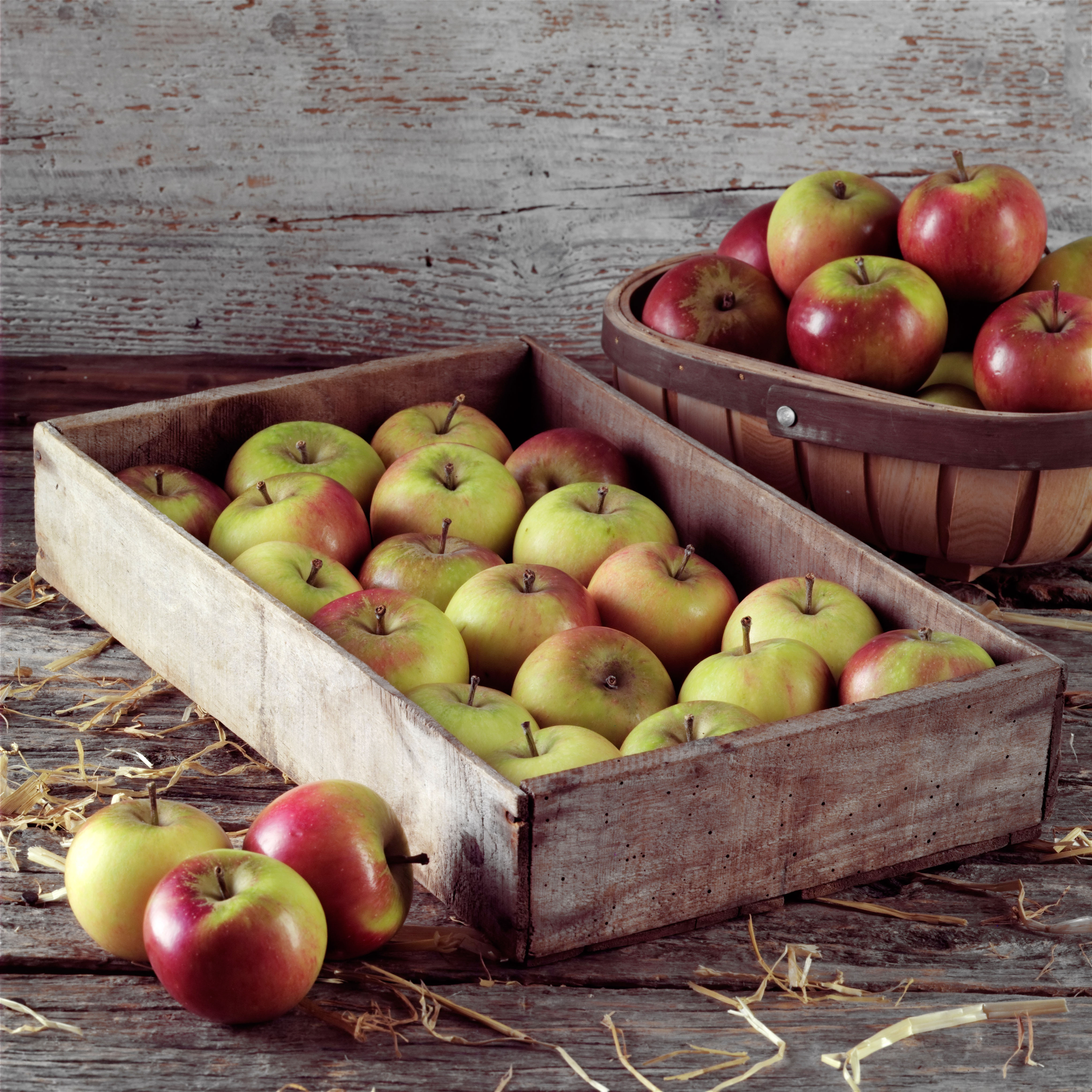 Apples in a crate (Alamy/PA)