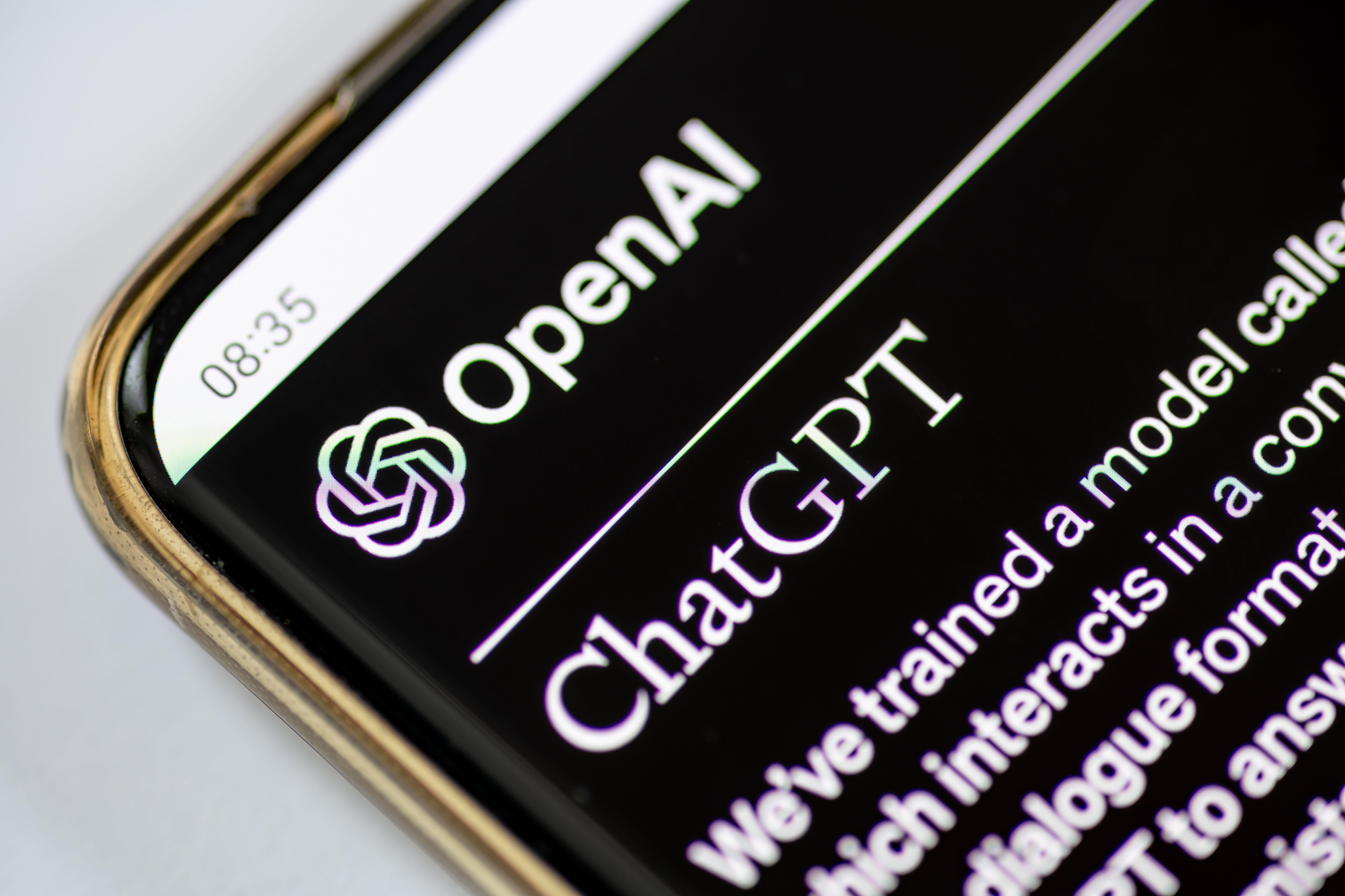 The logo and name of the technology company OpenAI which developed ChatGPT