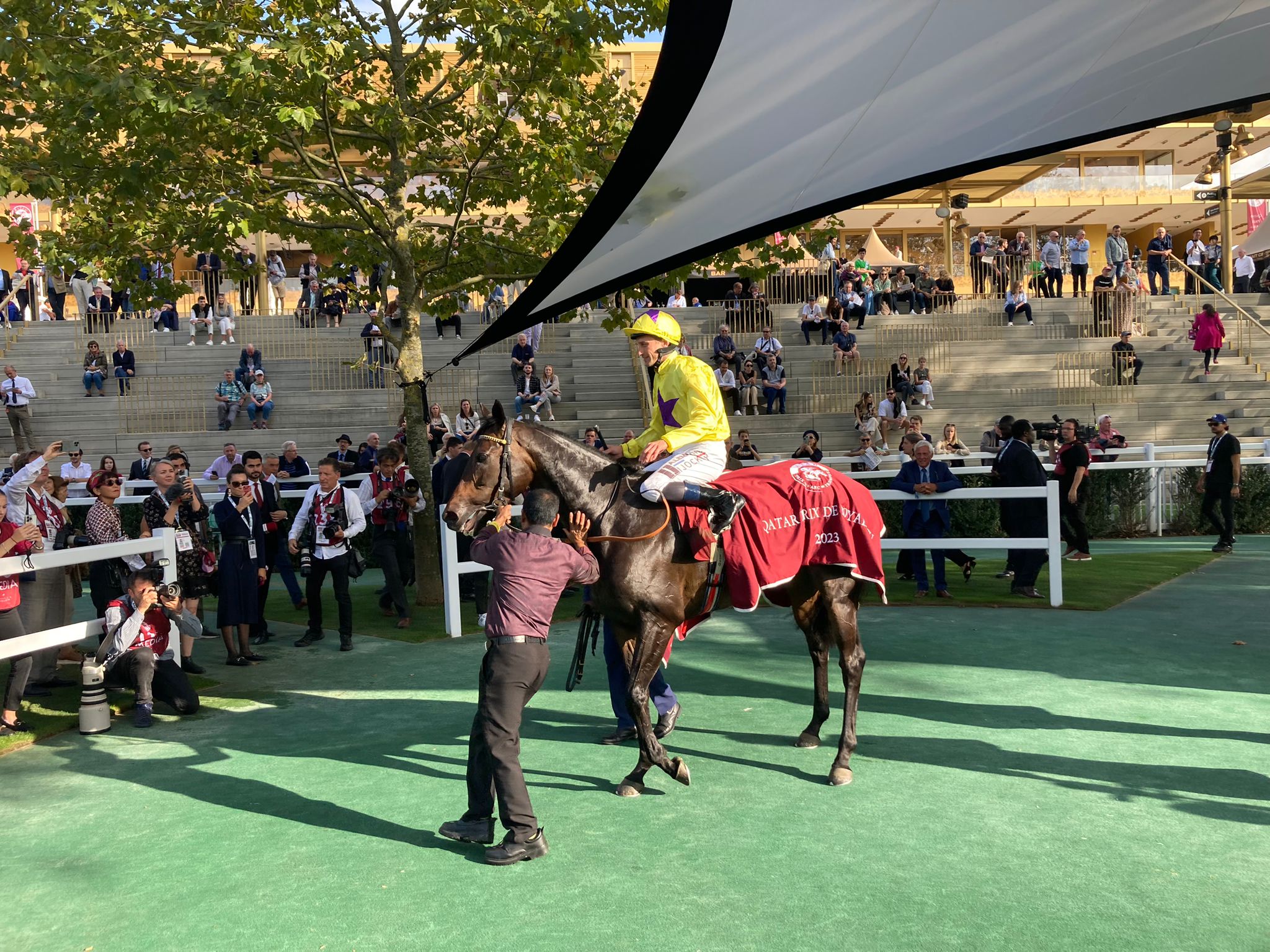 Sea Silk Road after winning at ParisLongchamp