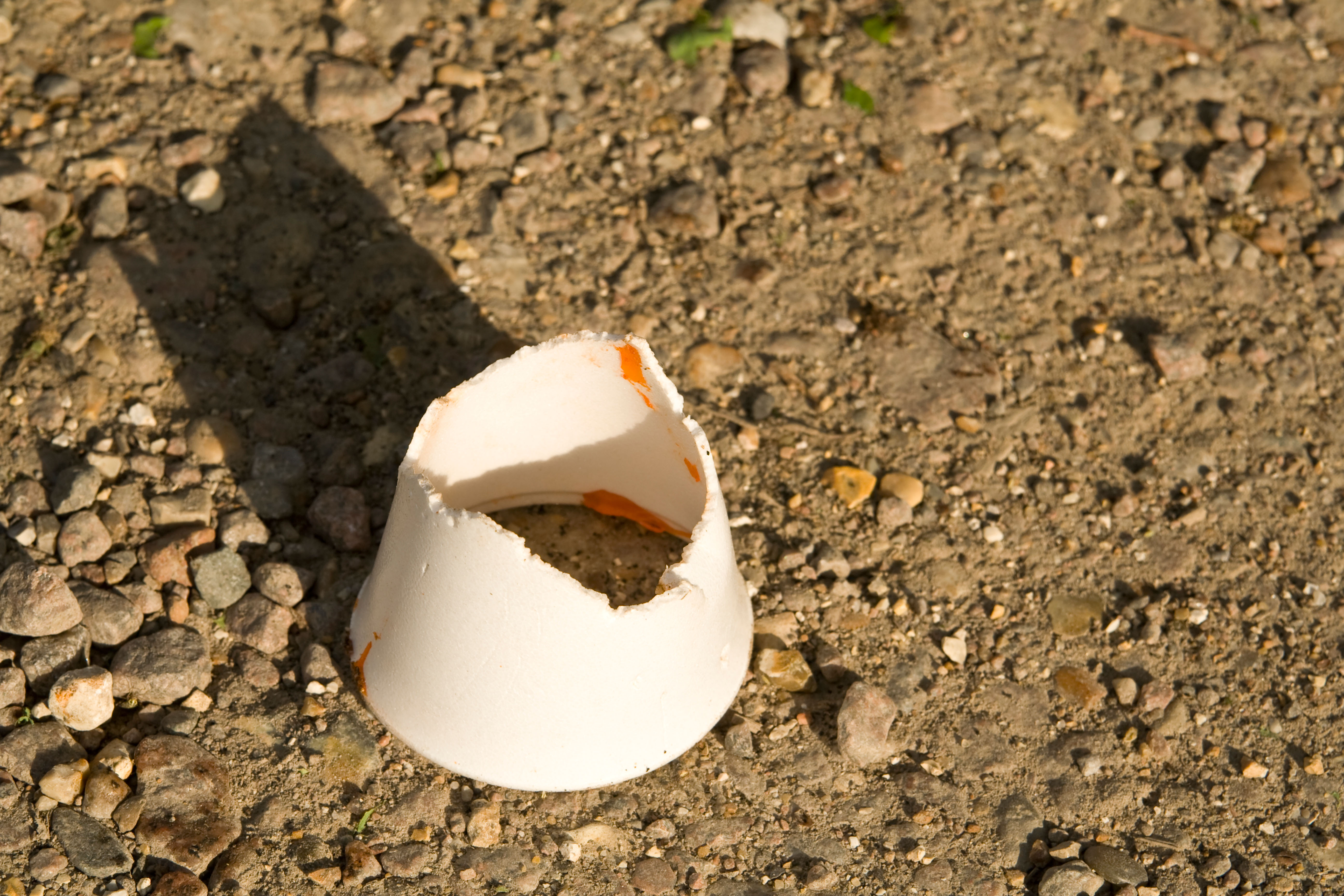 Discarded cup