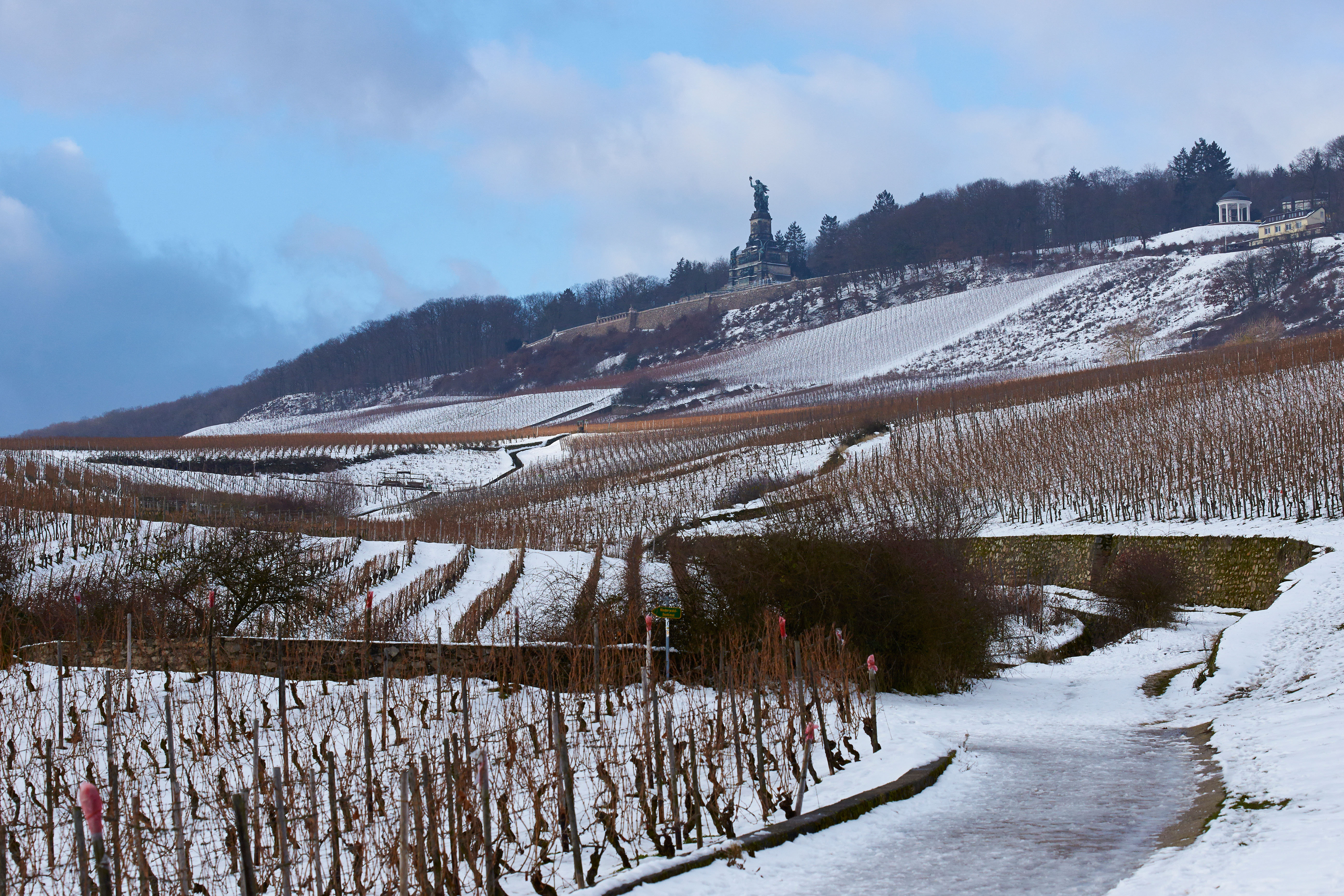 Snow-covered vineyards over Rudesheim (Alamy/PA)