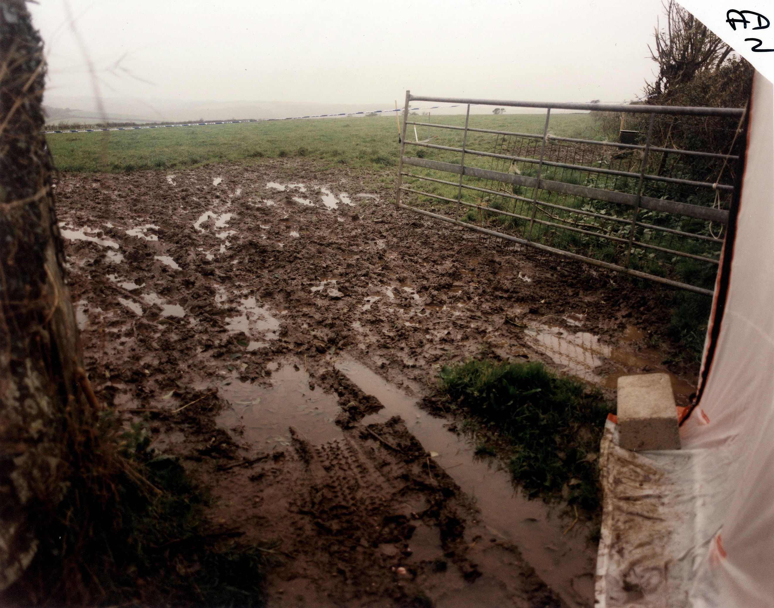 Linda Bryant's body was found in a muddy entrance to a field having been stabbed (Devon and Cornwall Police/PA)