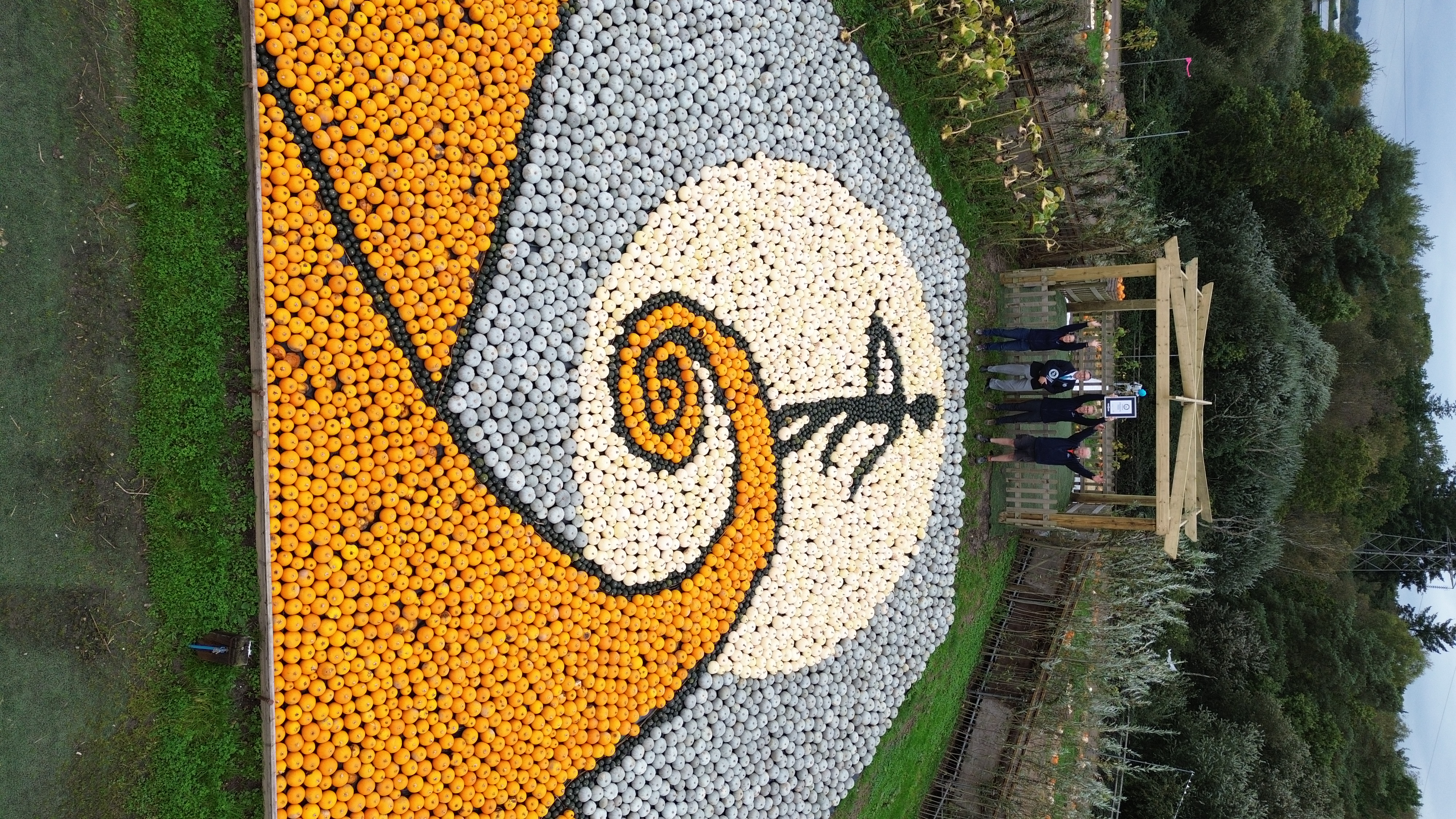 People standing next to mosaic on the ground 