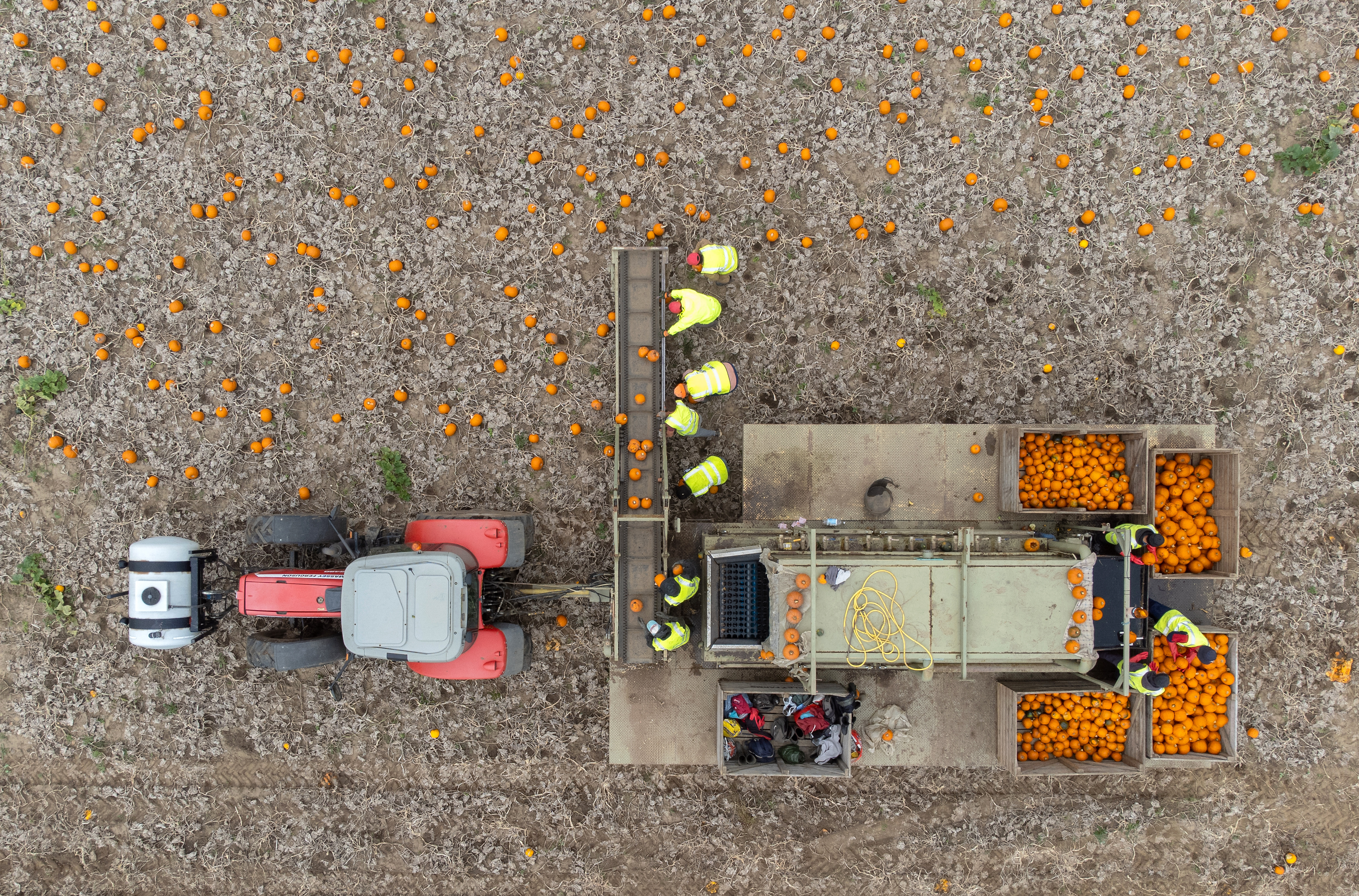 The wet weather has been key to a bumper crop of pumpkins this year (Joe Giddens/PA)