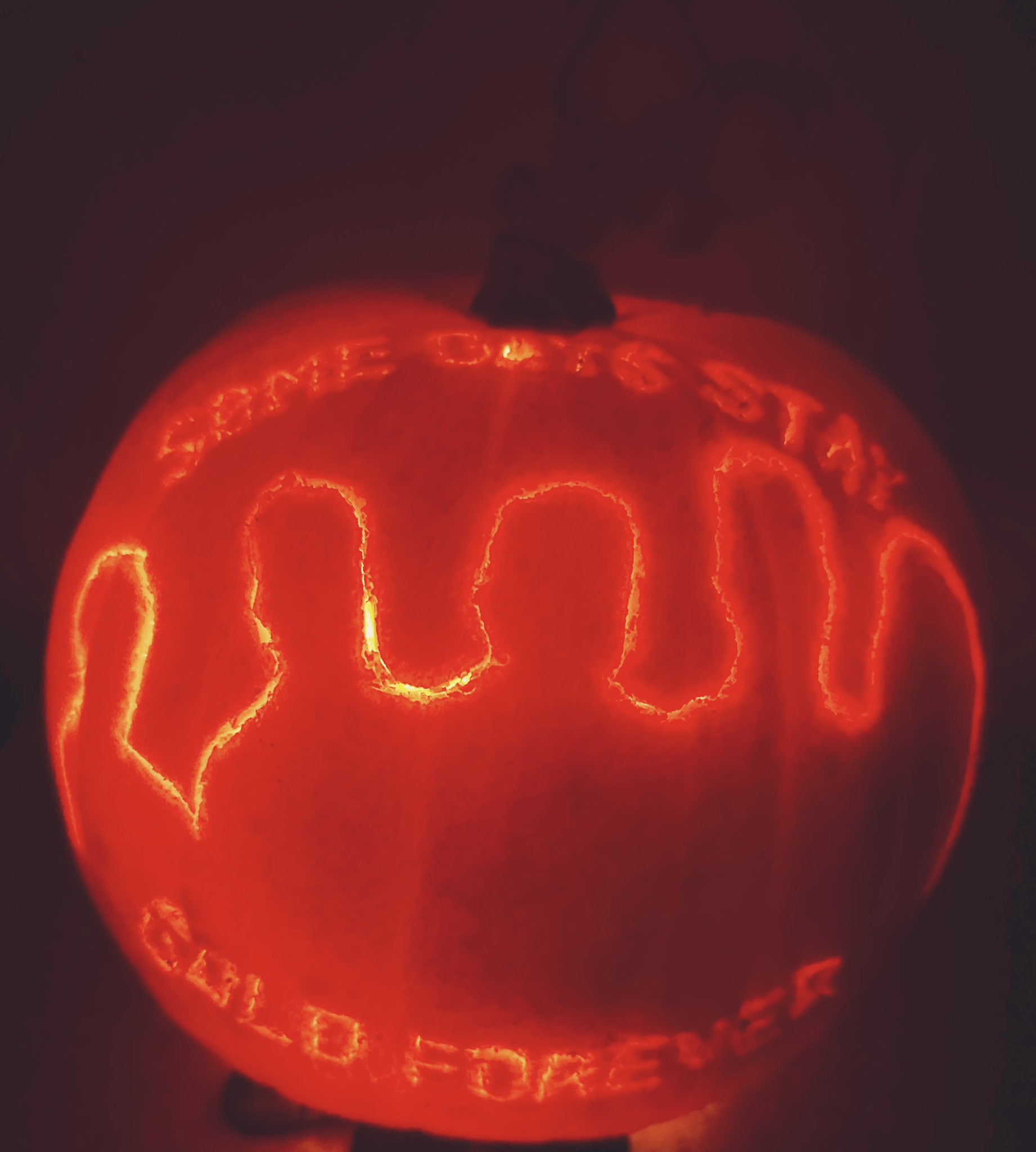 Pumpkin which has been carved 