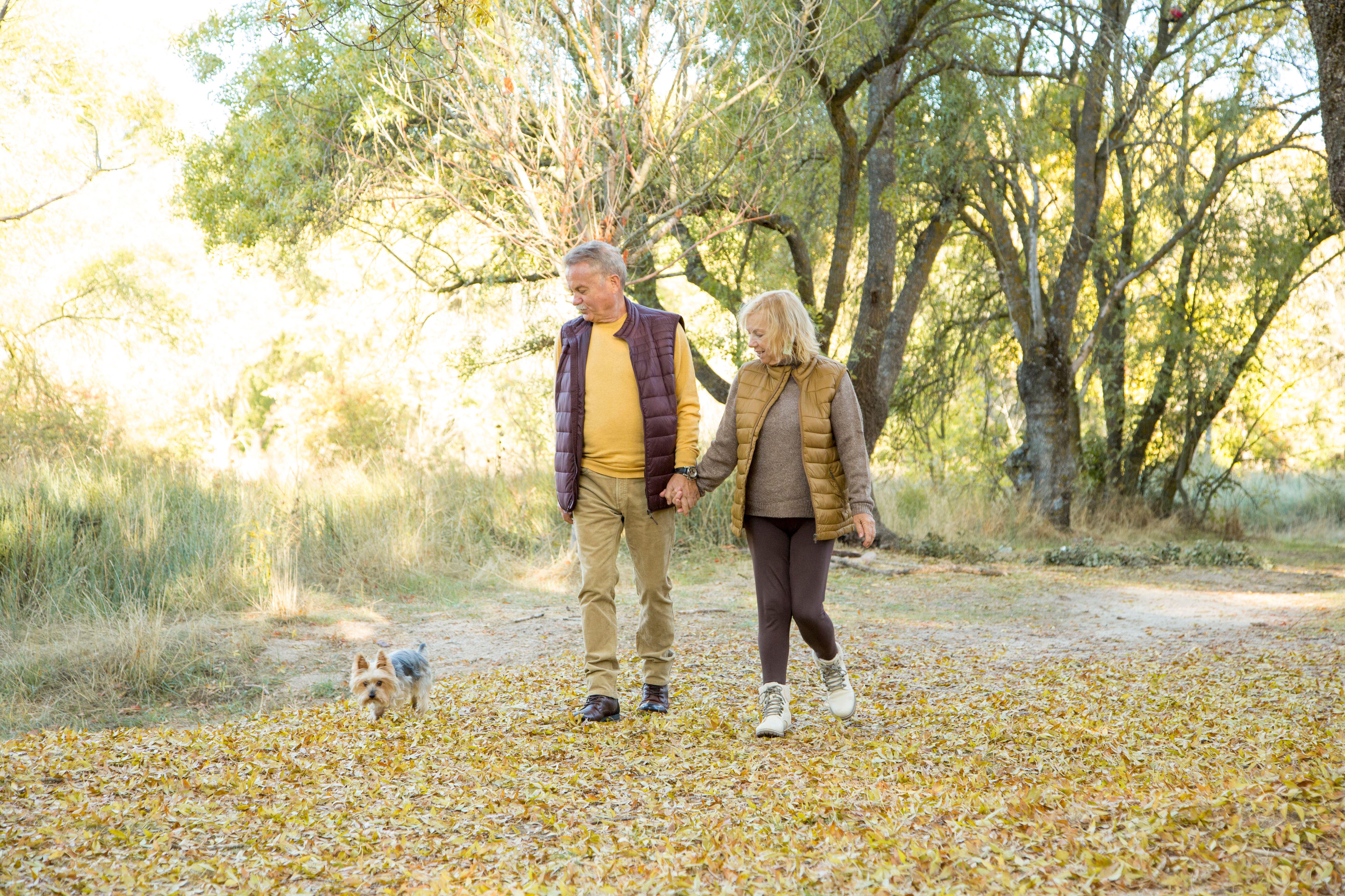 A mature couple out walking their dog in the woods