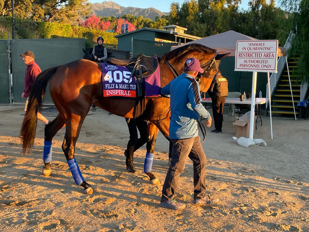 Inspiral making her way out on to the track