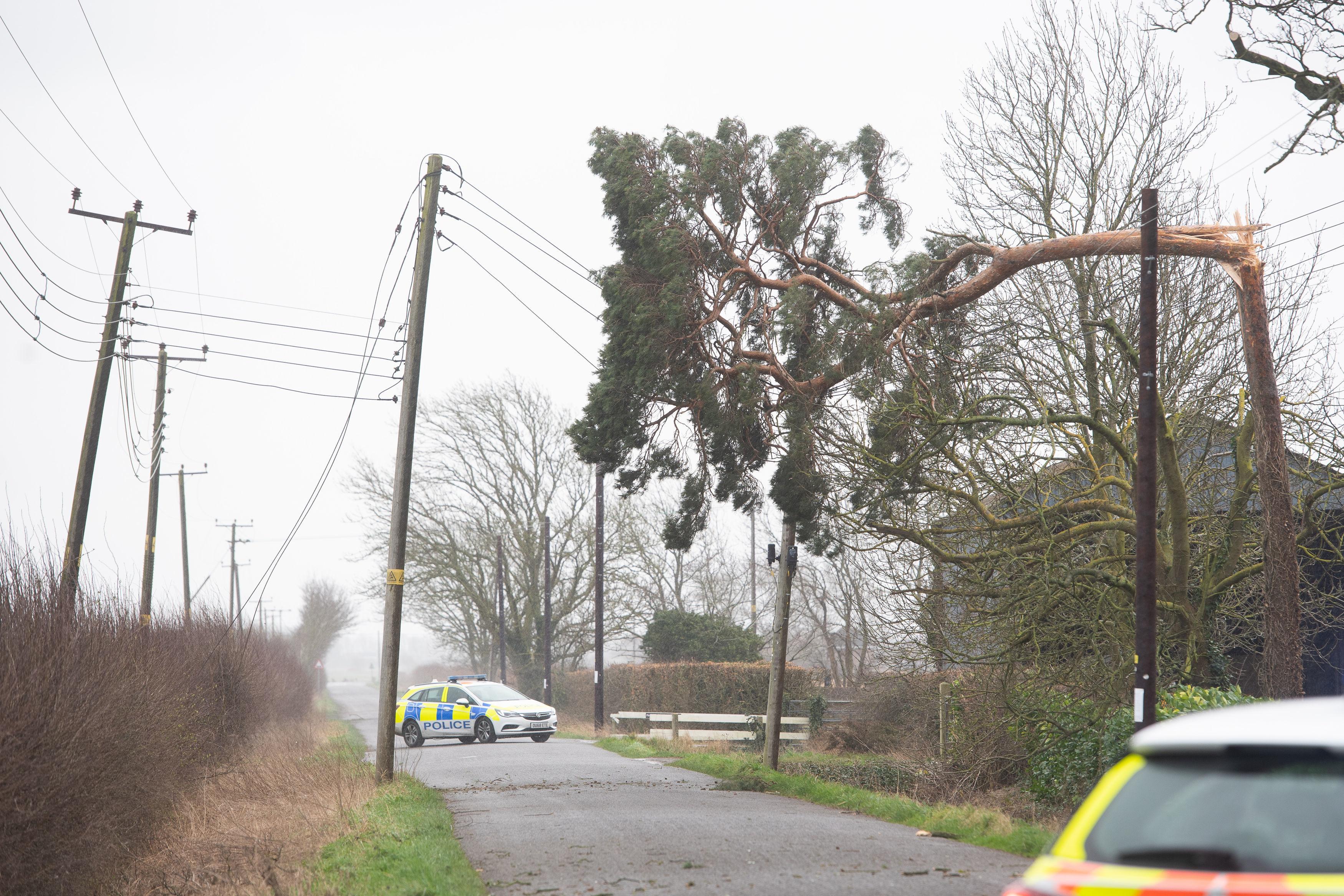 Downed power lines