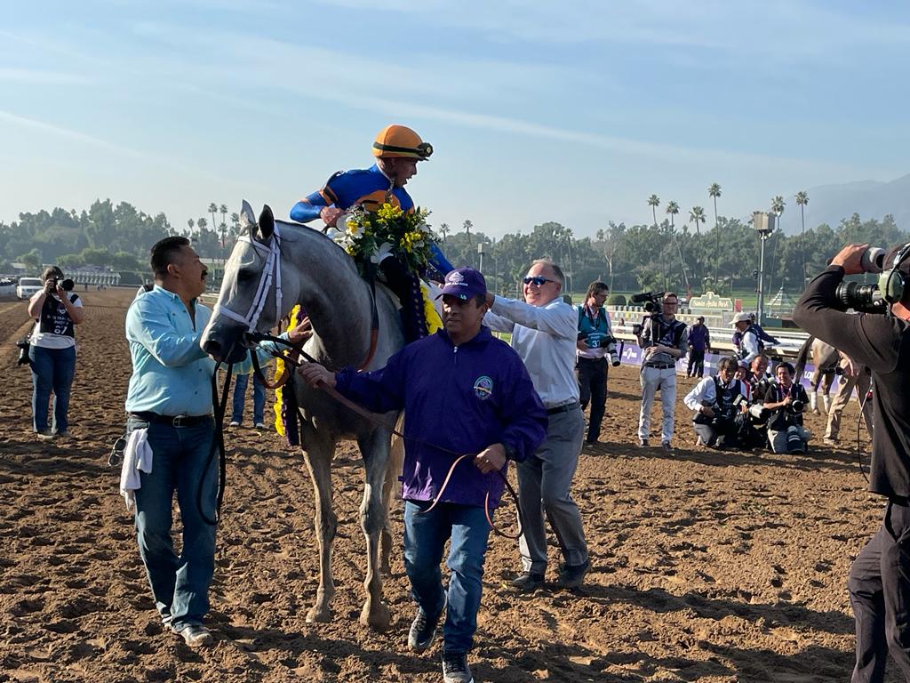 Irad Ortiz with White Abarrio after the Breeders' Cup
