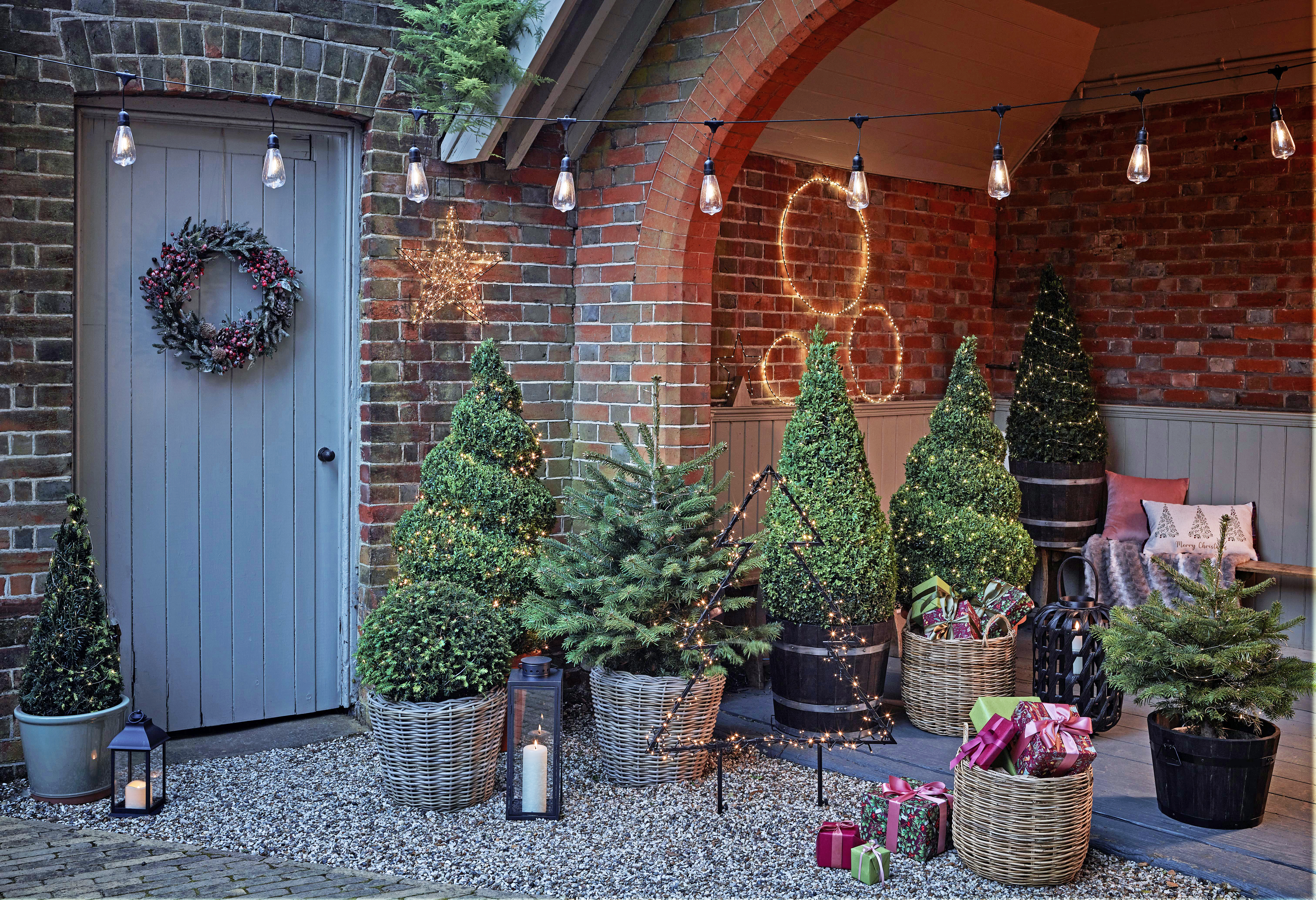 Pot-grown Christmas trees ((Dobbies Garden Centres/PA)