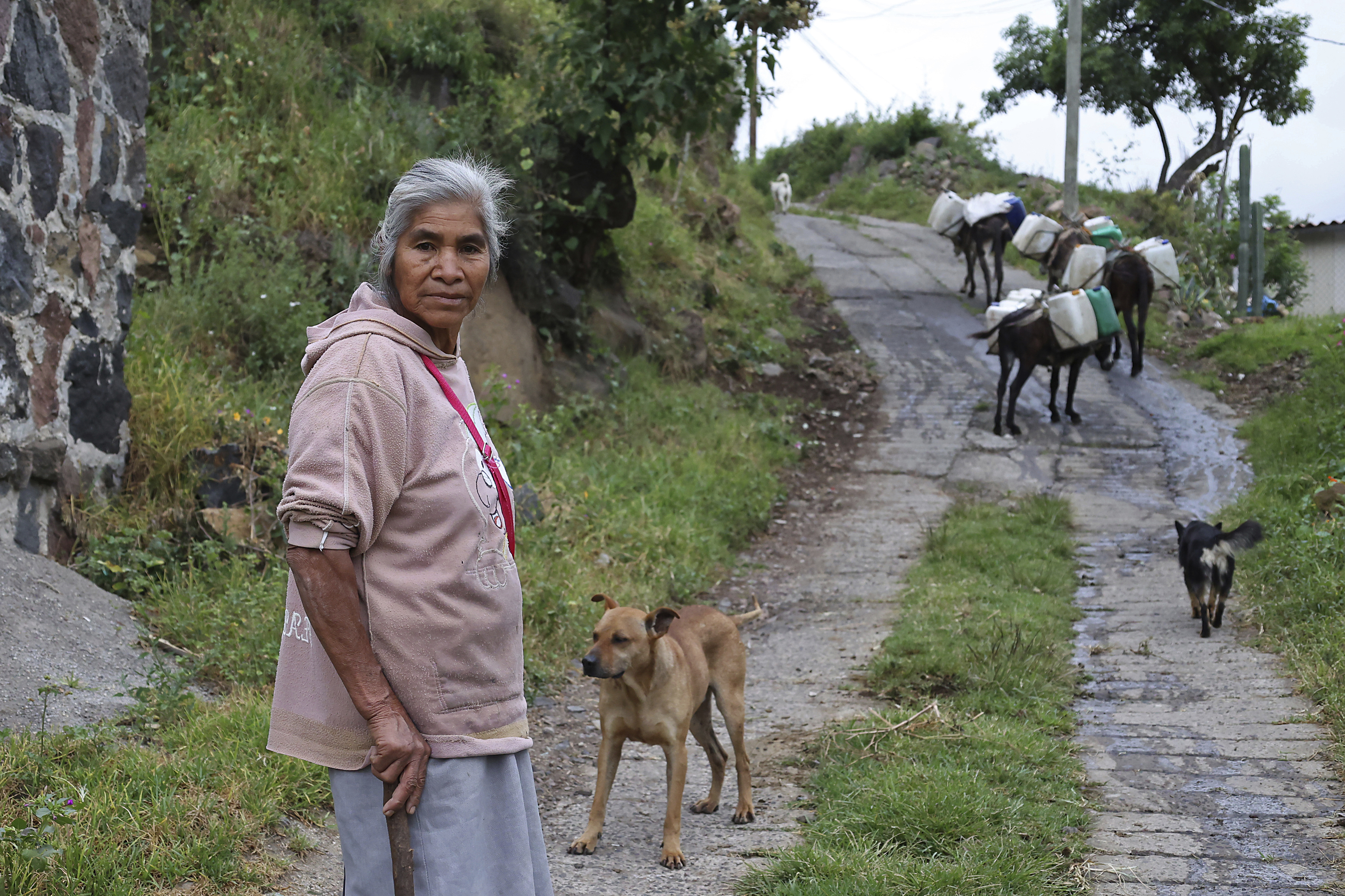 A woman searches for water